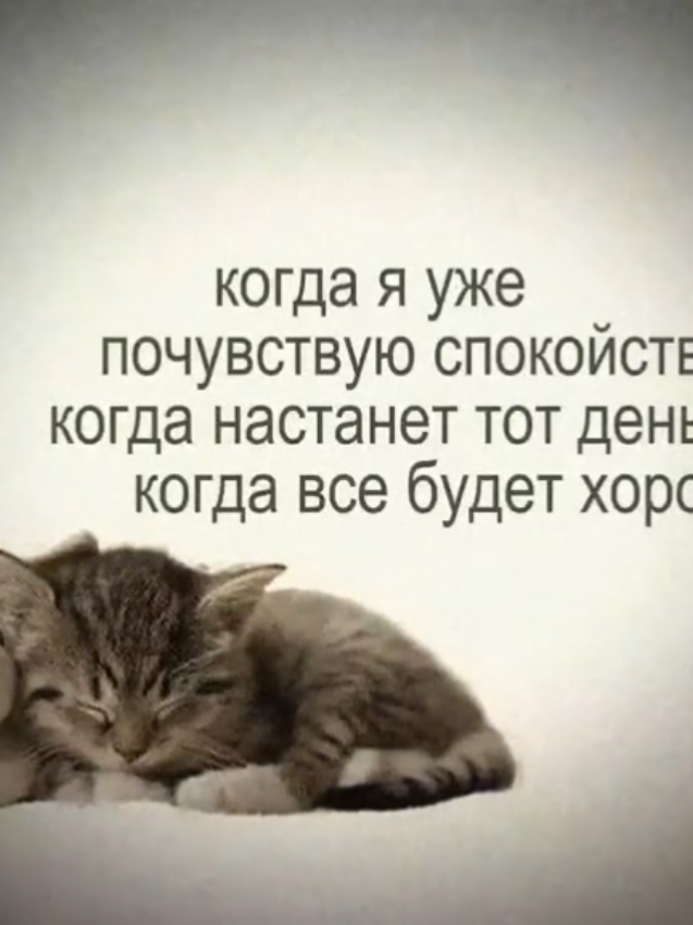 @mertvaya.