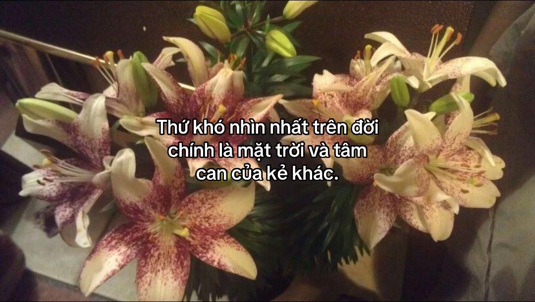 @ng đẹp hay b&ugrave;n