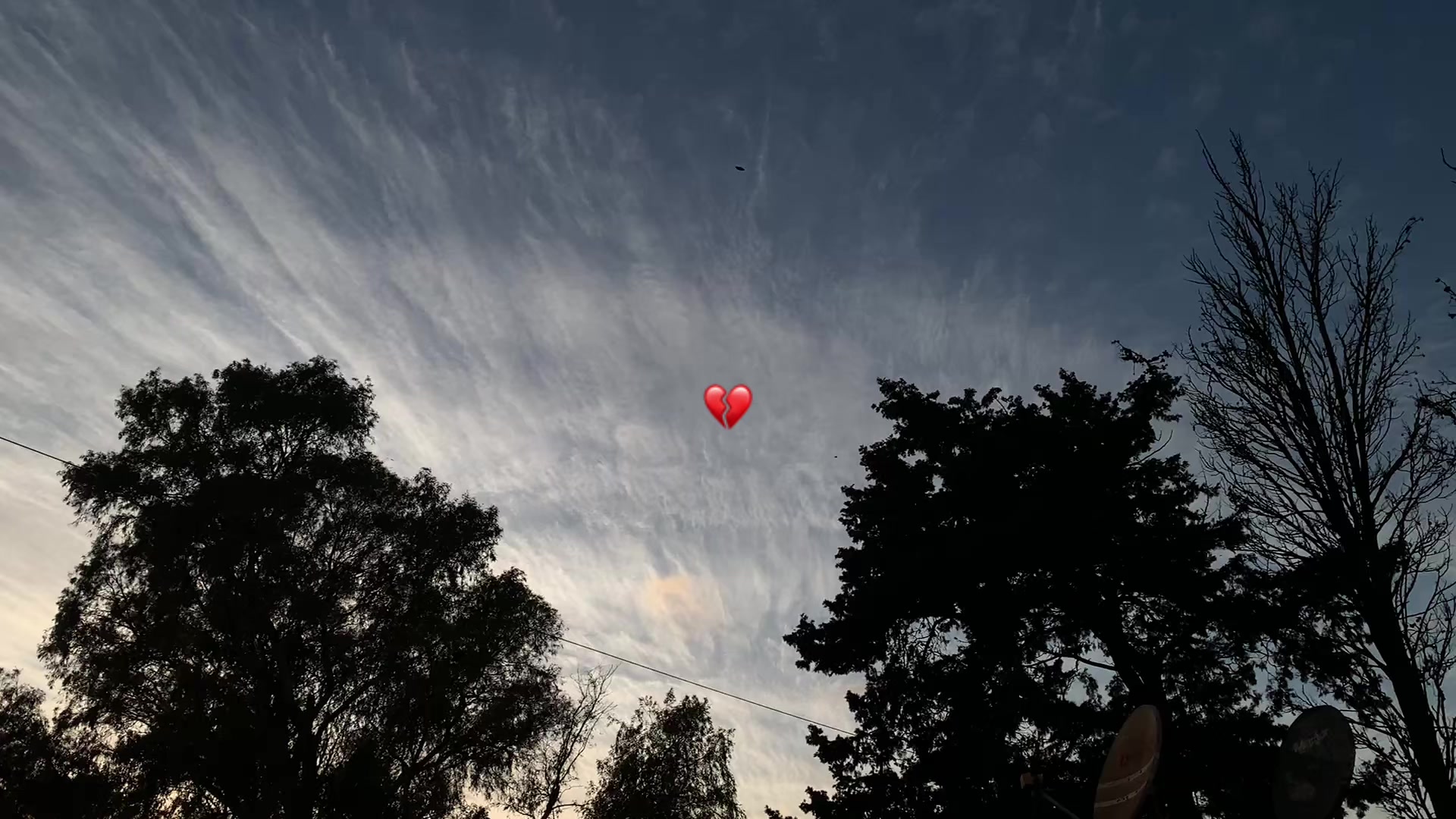 @Spideer.exee