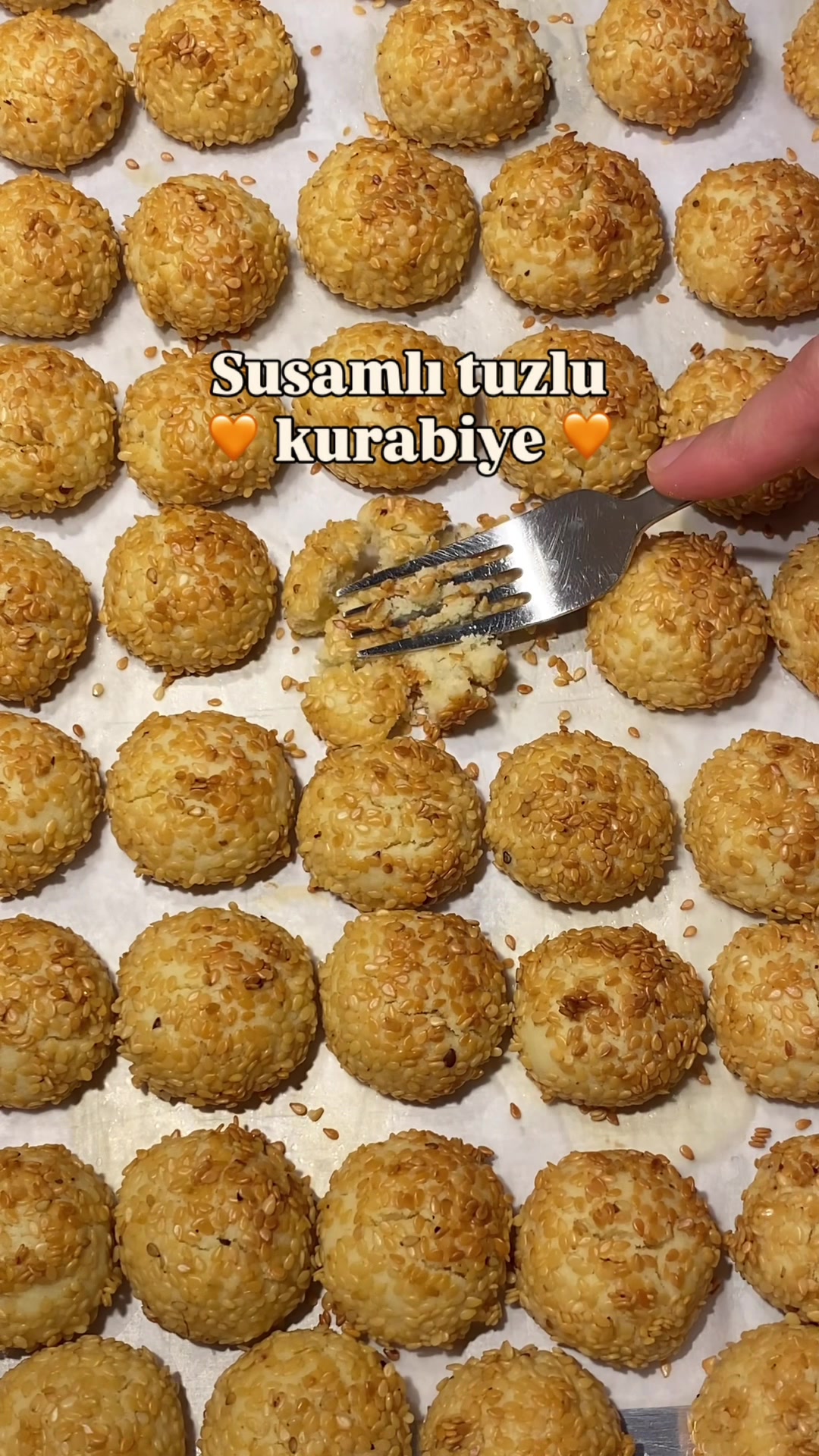 @gulsumce_blog_