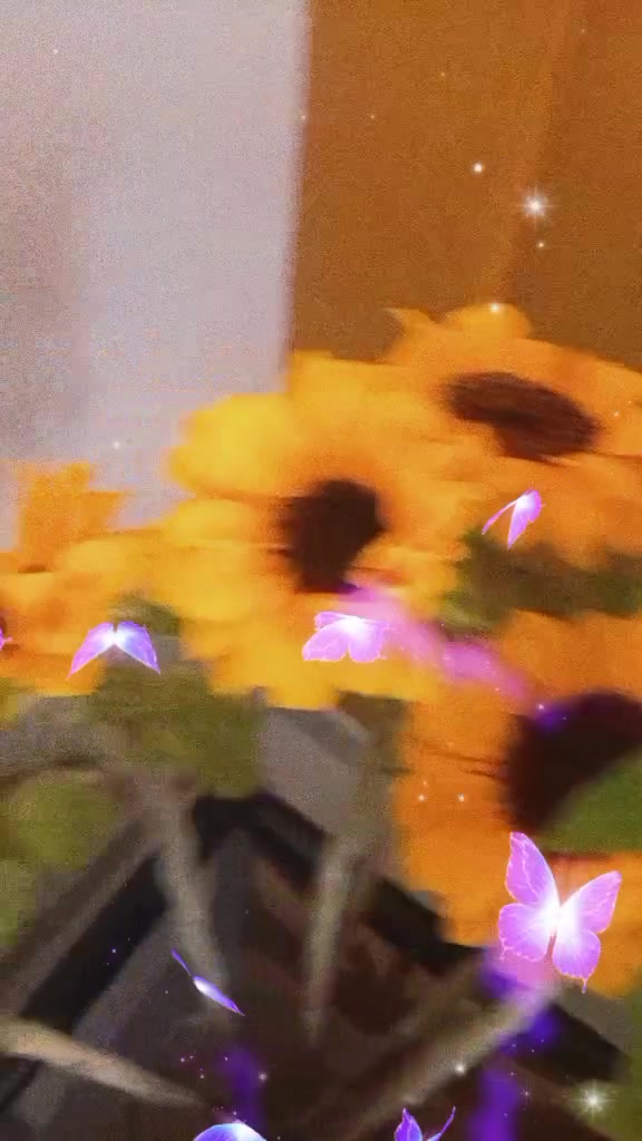 @veronan4018