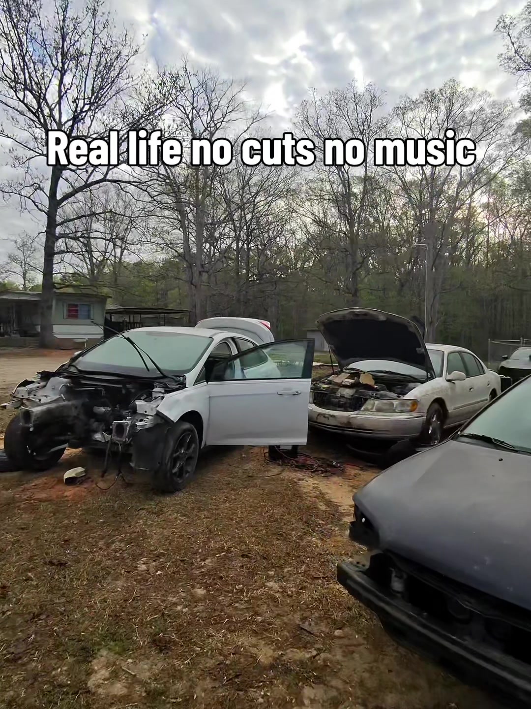 @C7 Shaun