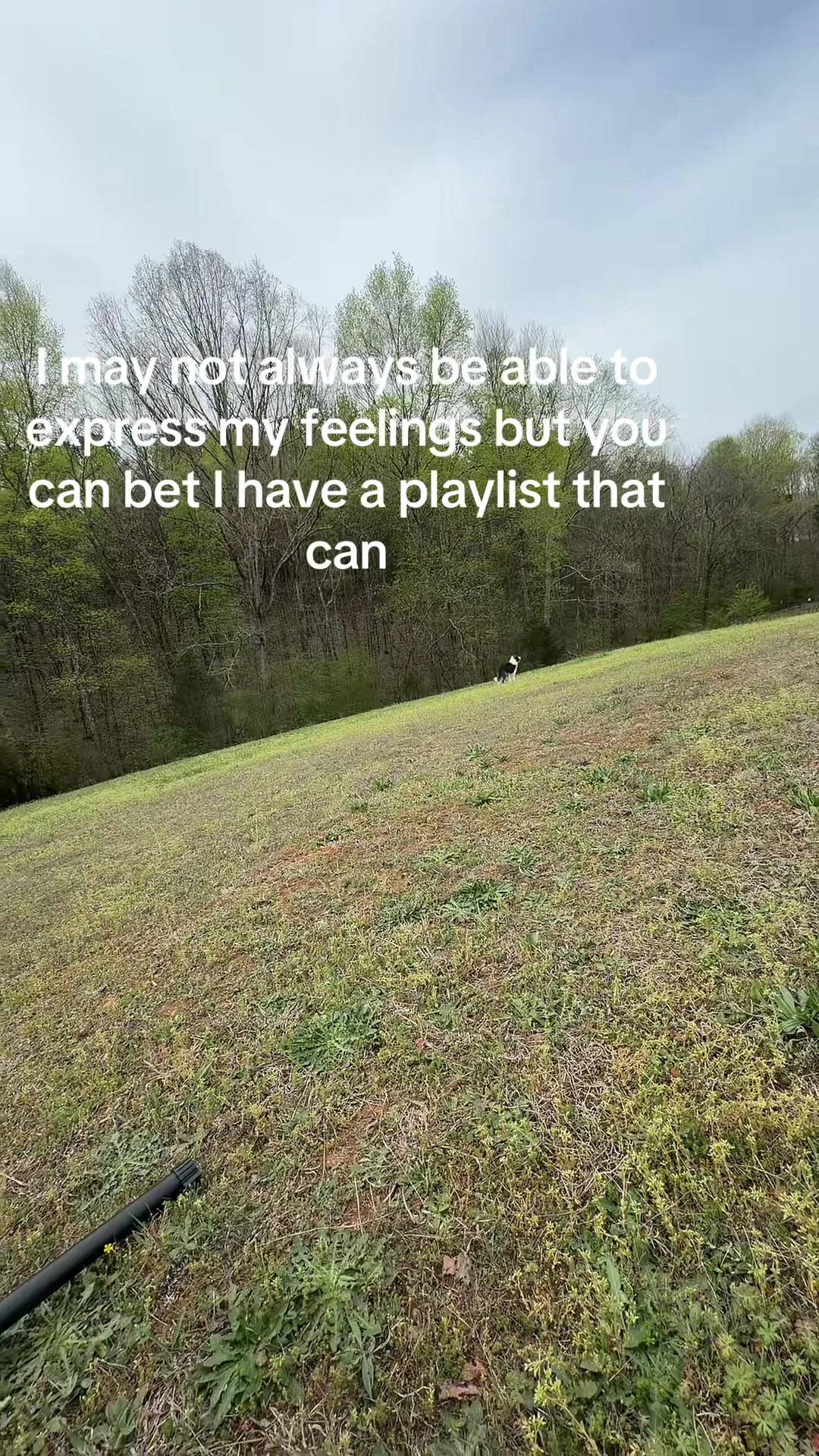 @Jaderaid