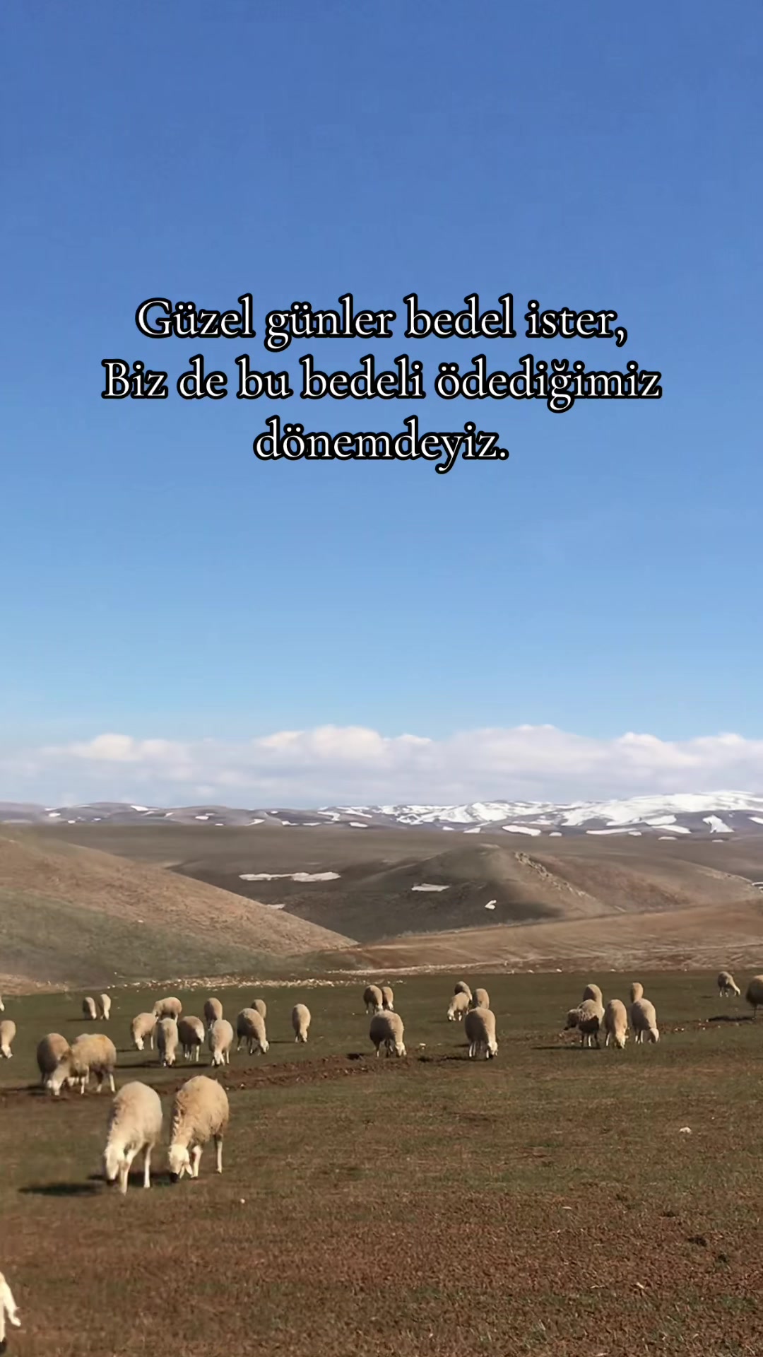 @🇹🇷TOPRAK KAYA🇹🇷
