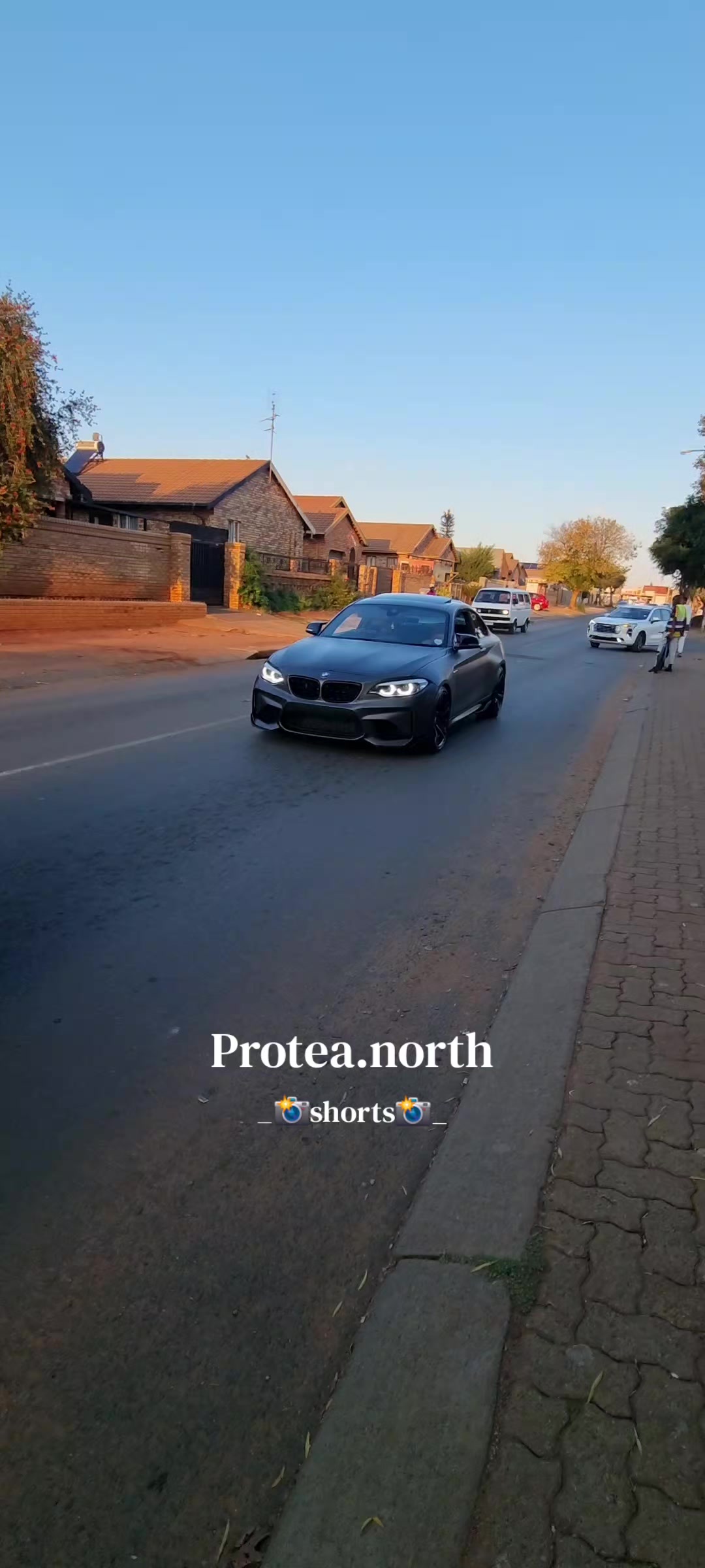 @Protea.north_shorts_
