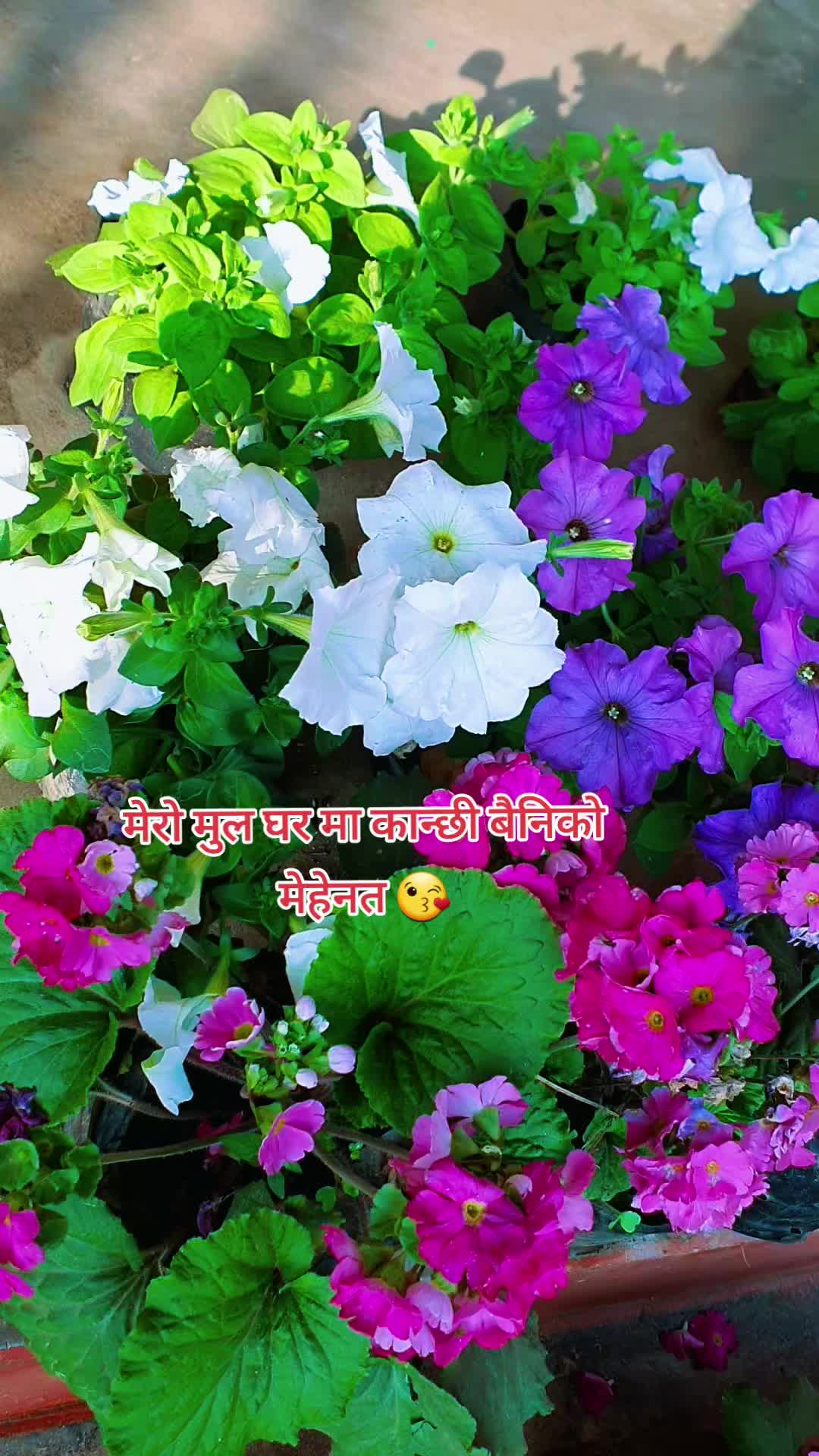 @Rajesh pal