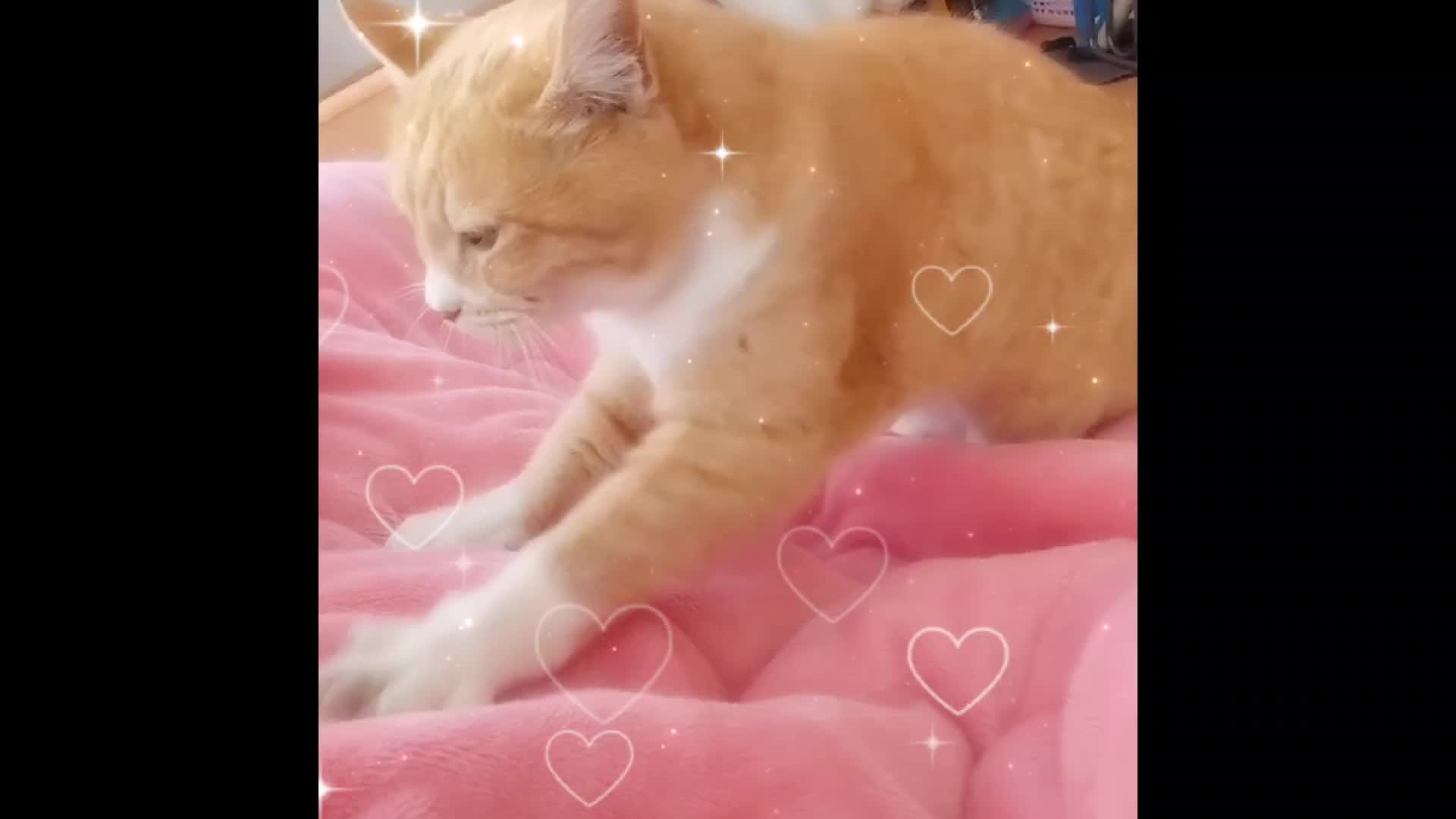 @介護施設♡ひなた横塚