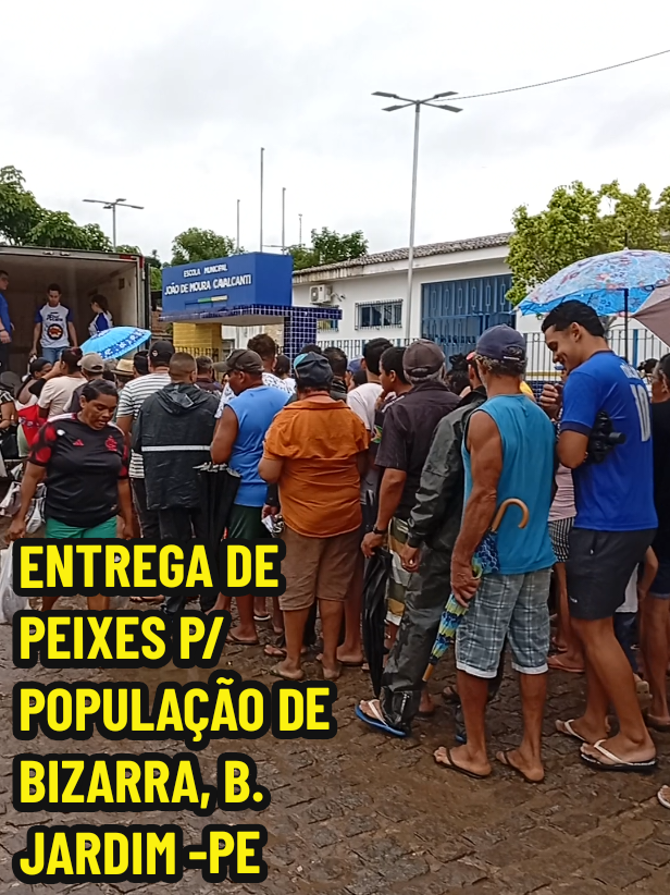 @Creusa Santos