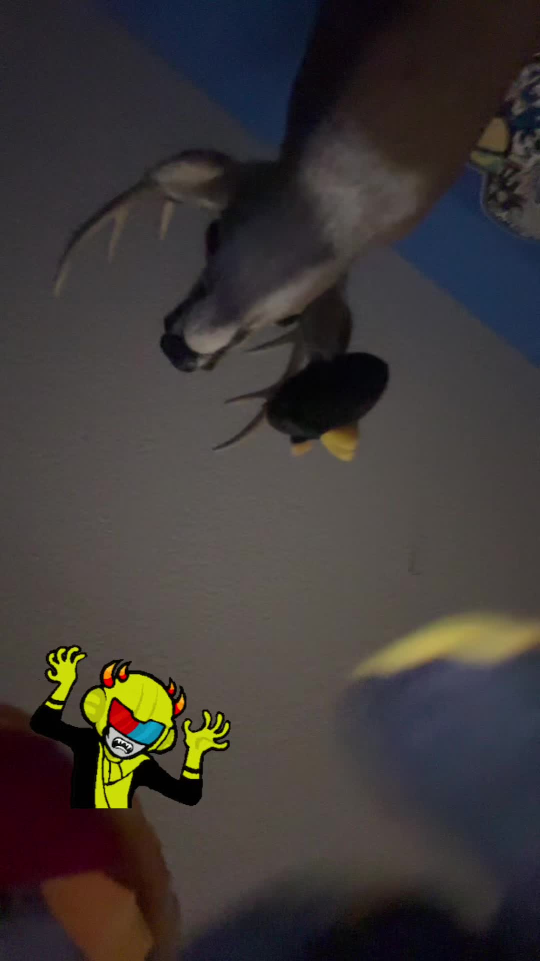 @ChocolatemilkdrinkƎr