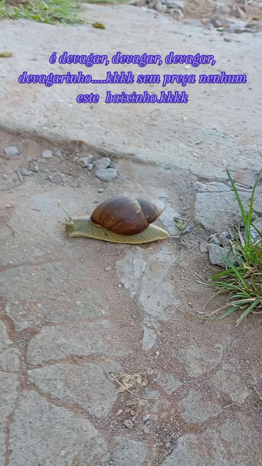 @Joaocarlos