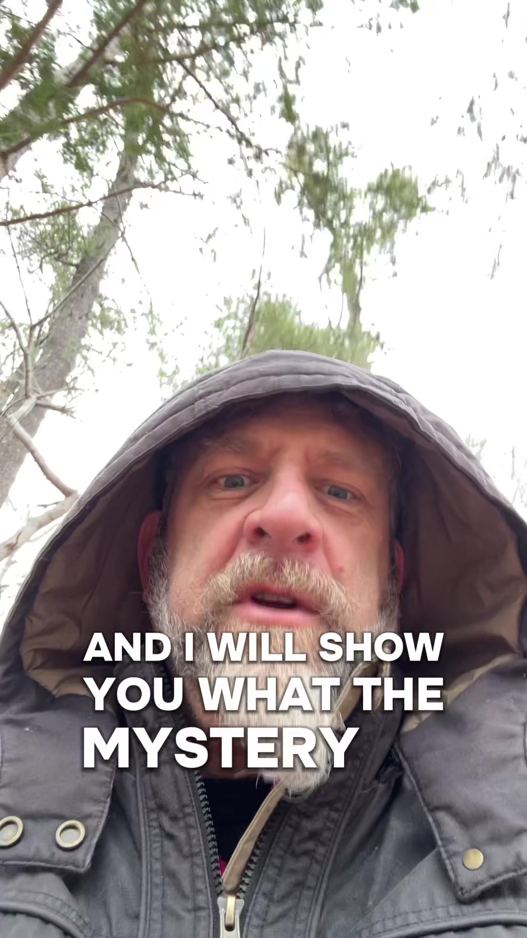 @theCazX