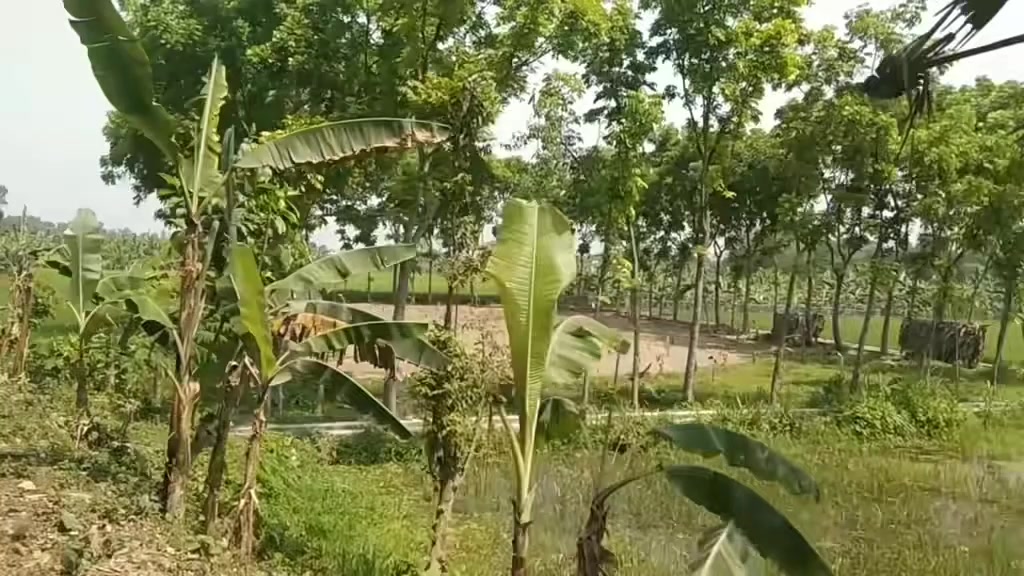 @🥰Radha_Rani🥰