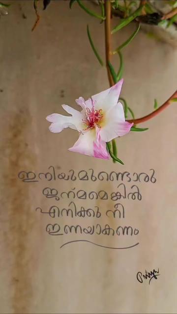@(@)ആവേശം(@)