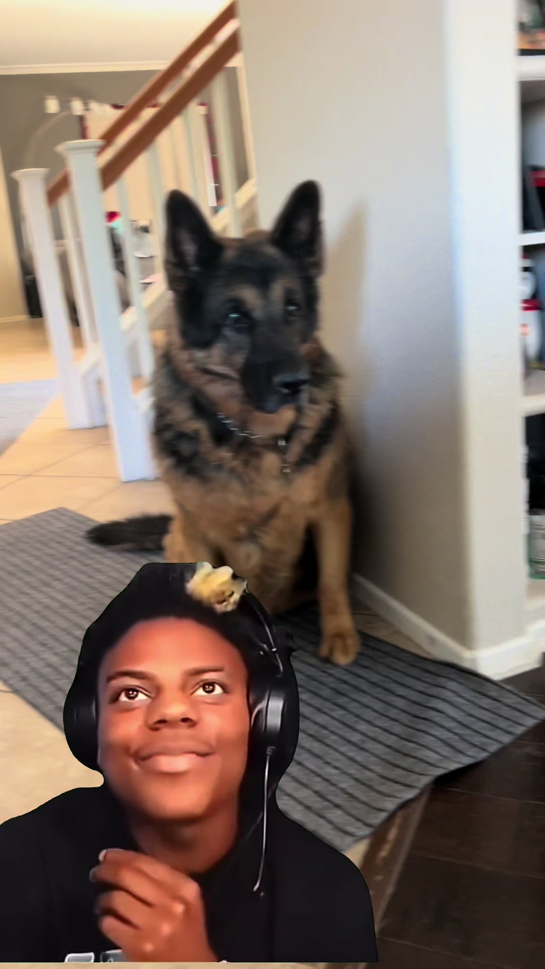 @mrkingstonb