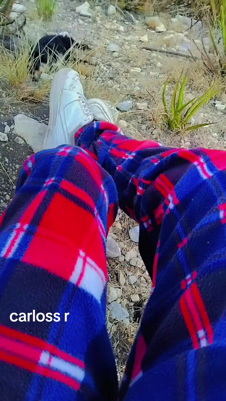 @carloss R