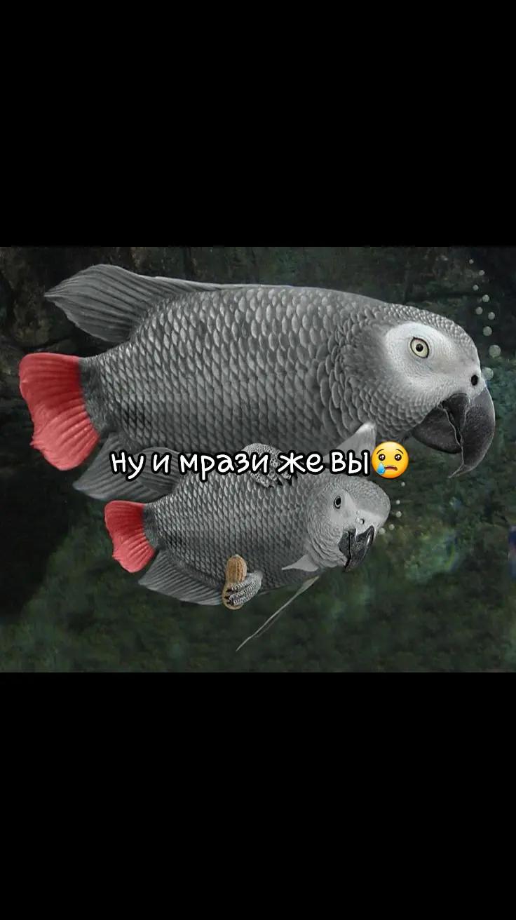 @косоглаз