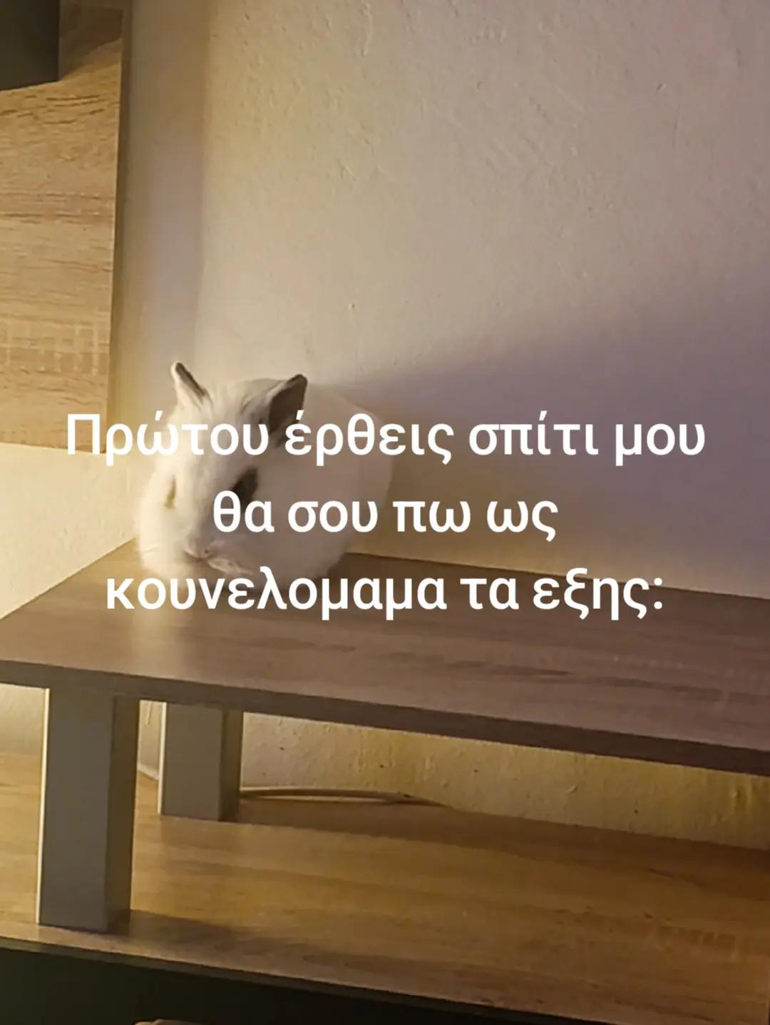 @Evita Stergiou clinical nurse