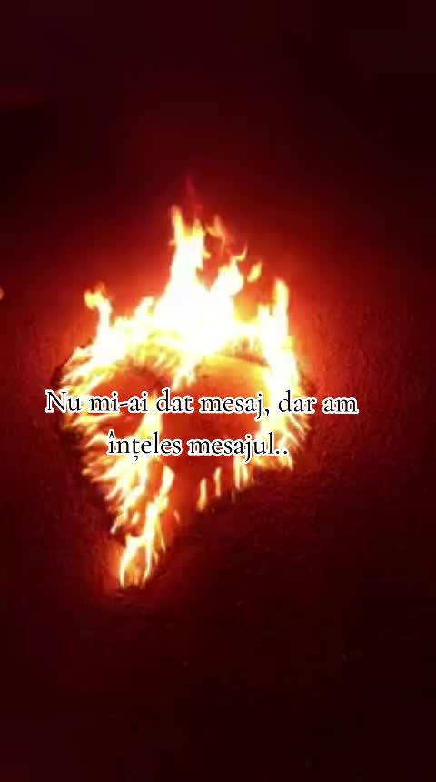 @❤Cristina Manea❤