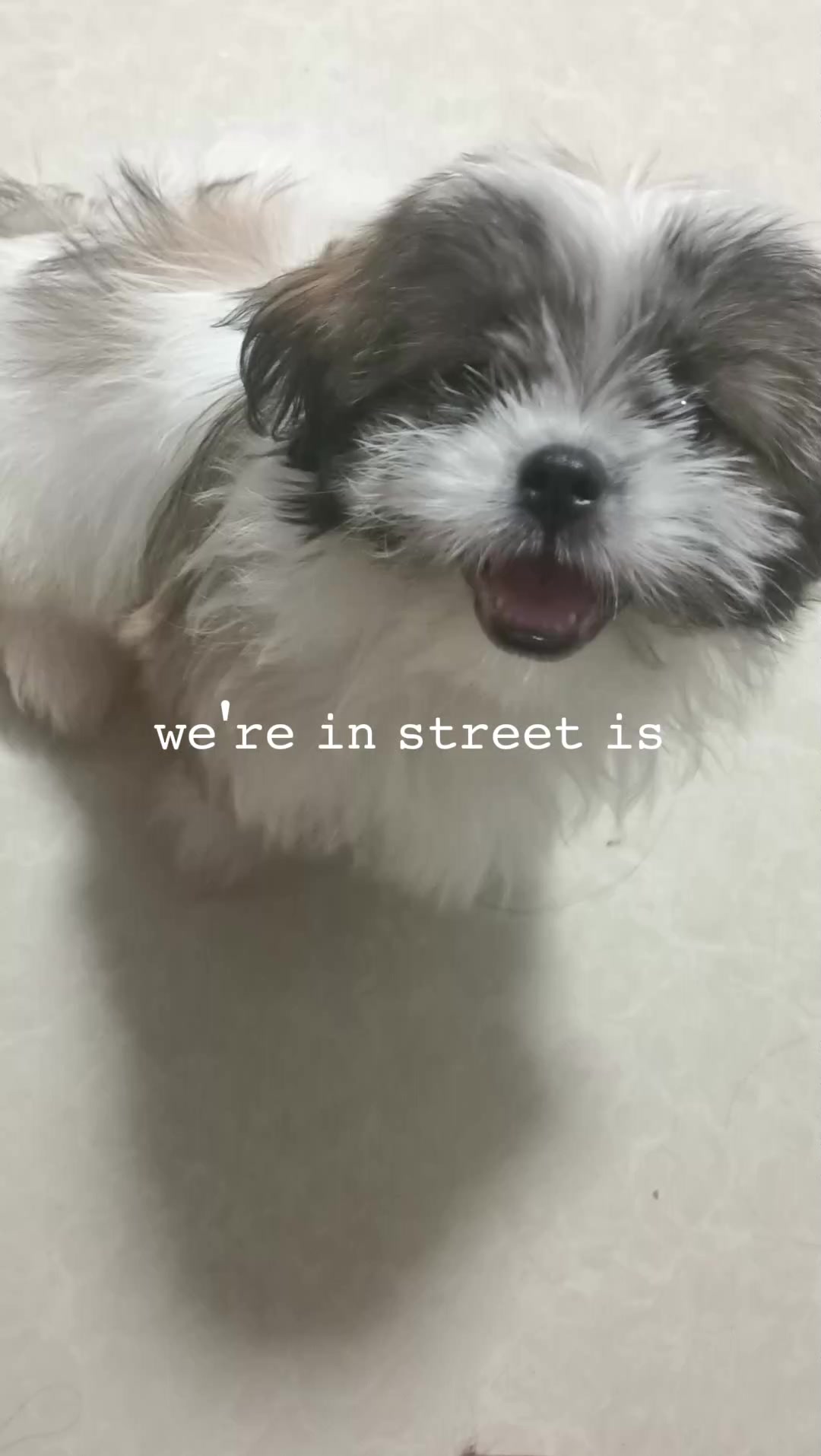 @.