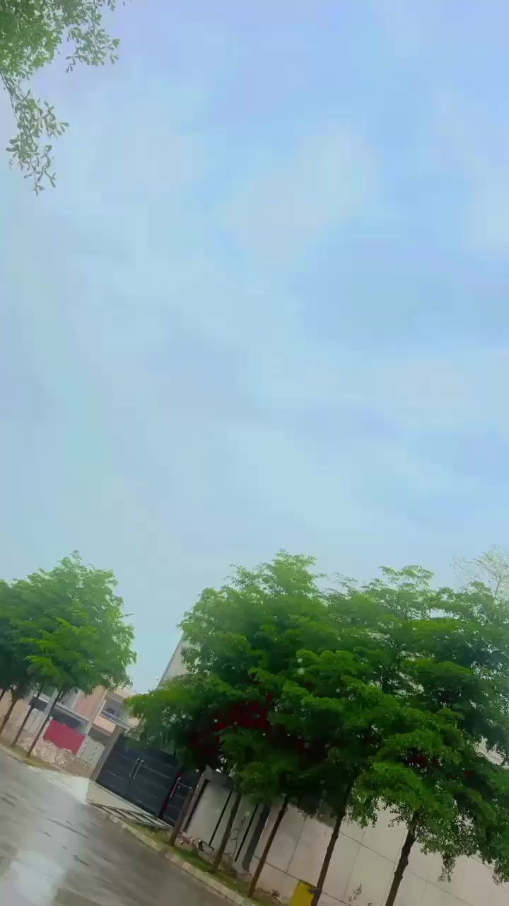@jalalbaloch354