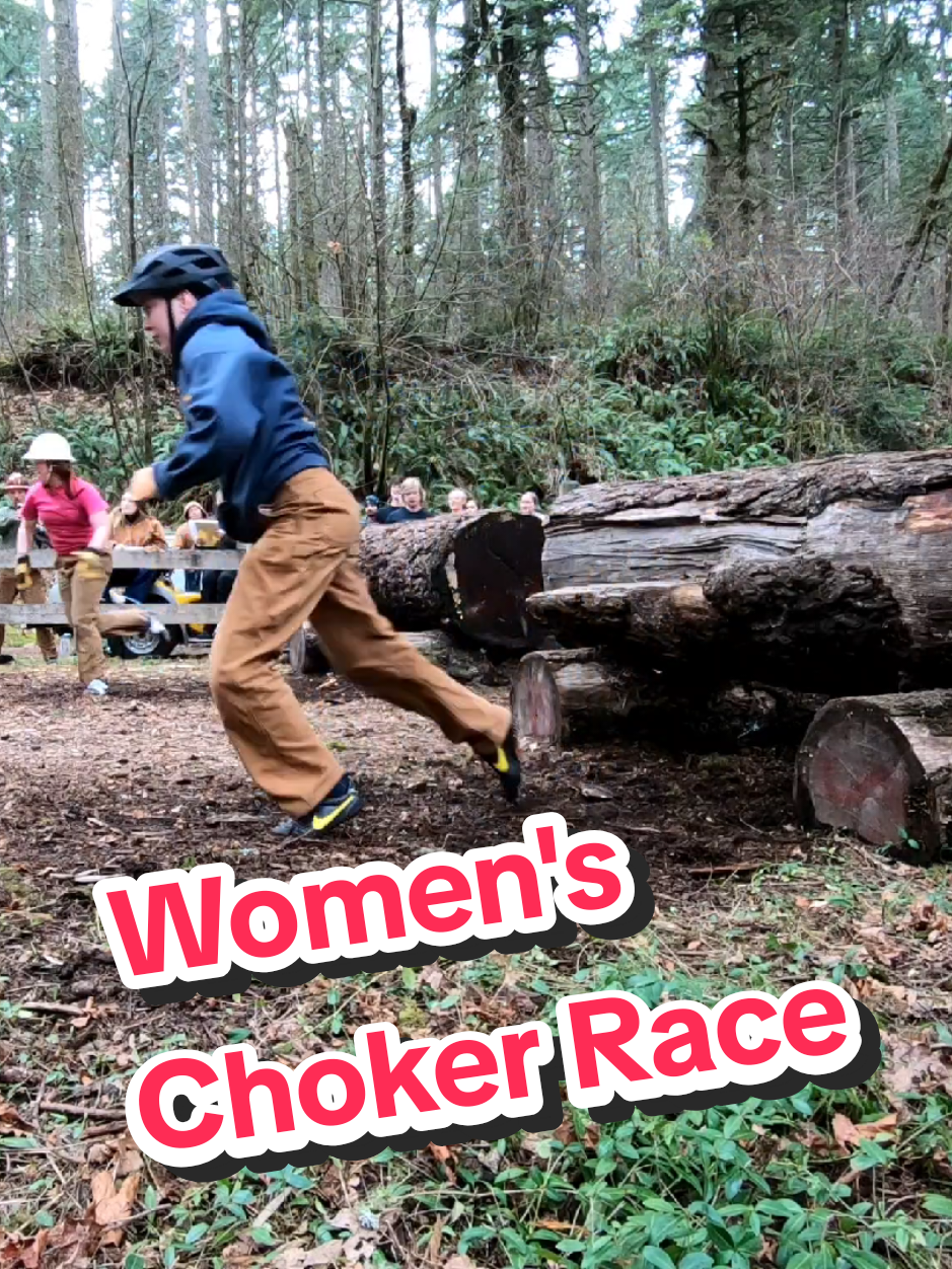 @The Logger League