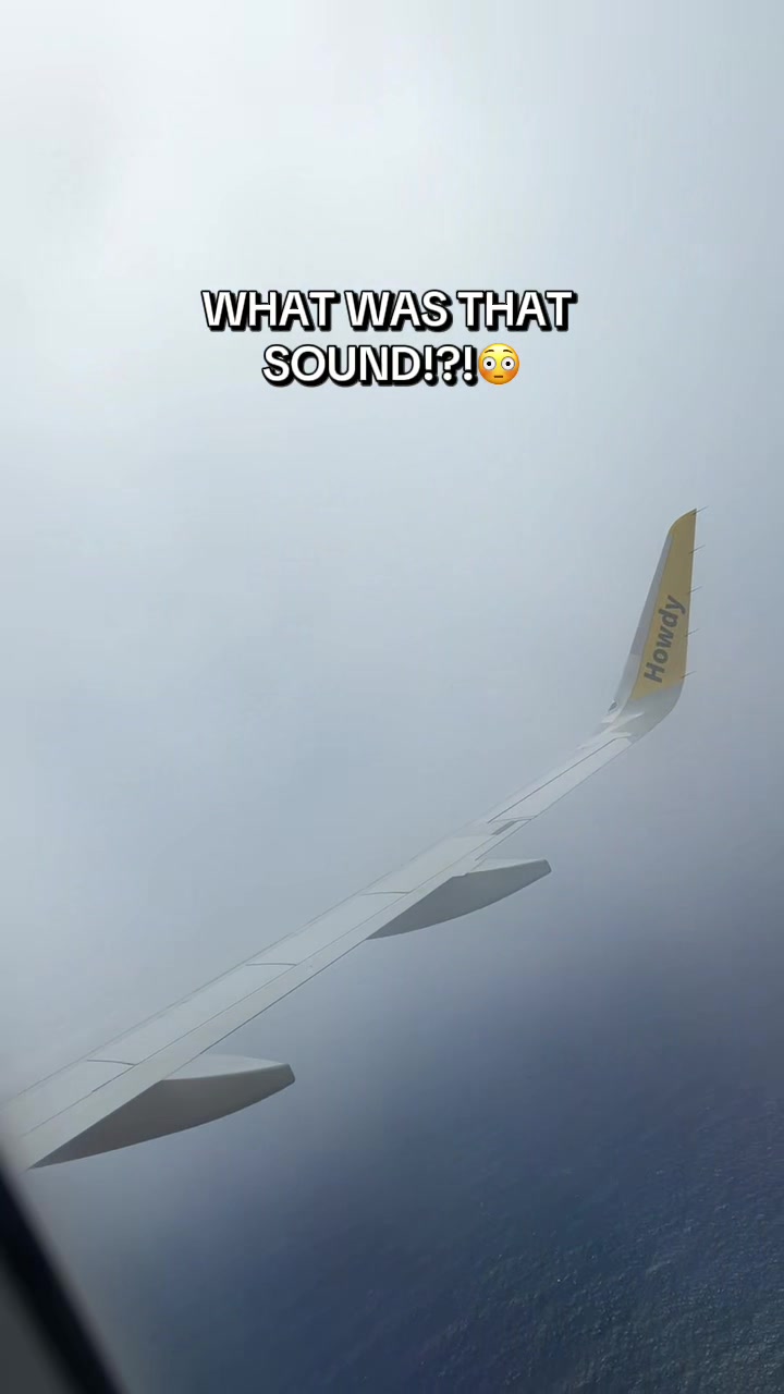 @op_dtw
