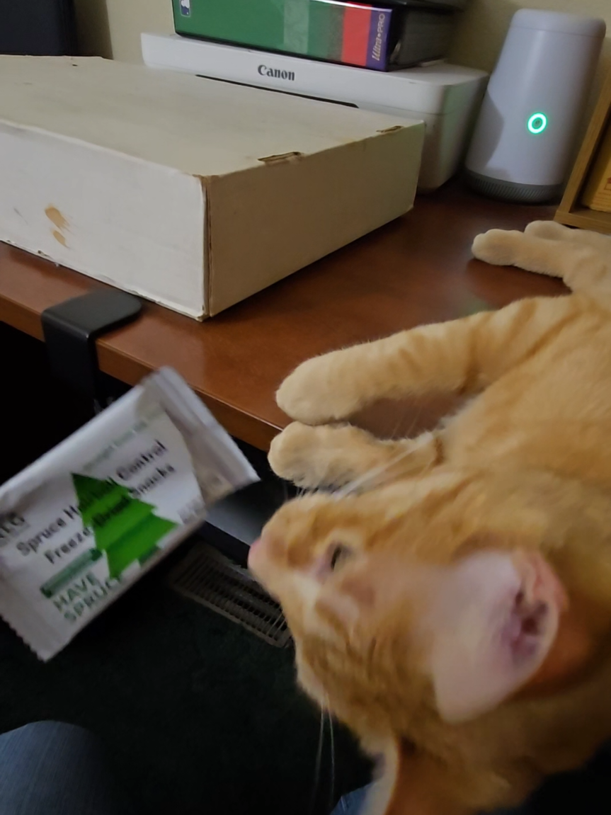 @🍀Mandy🐈📝