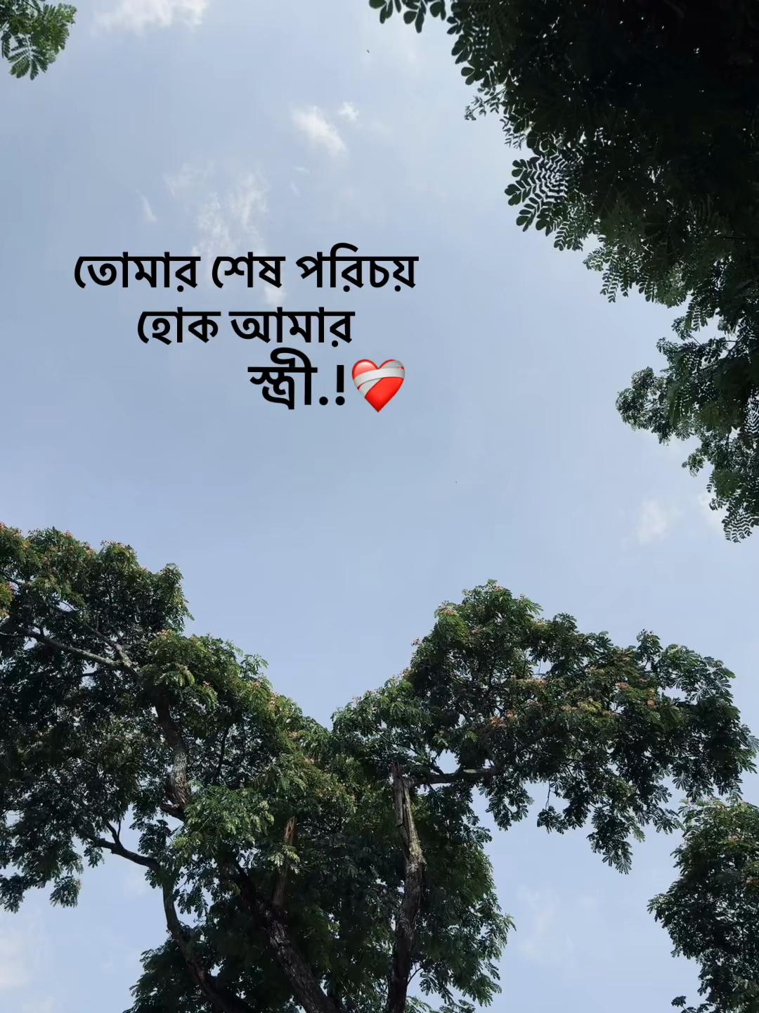 @সা জু 🪄🦋