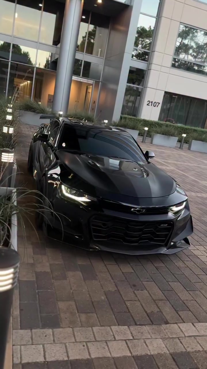 @auto_sueta1