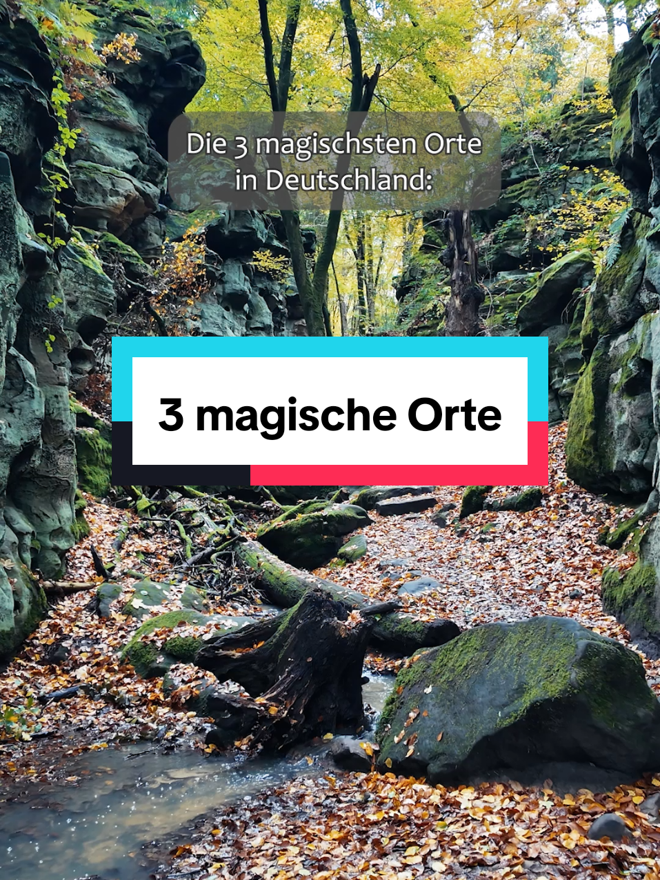 @Am Puls der Natur