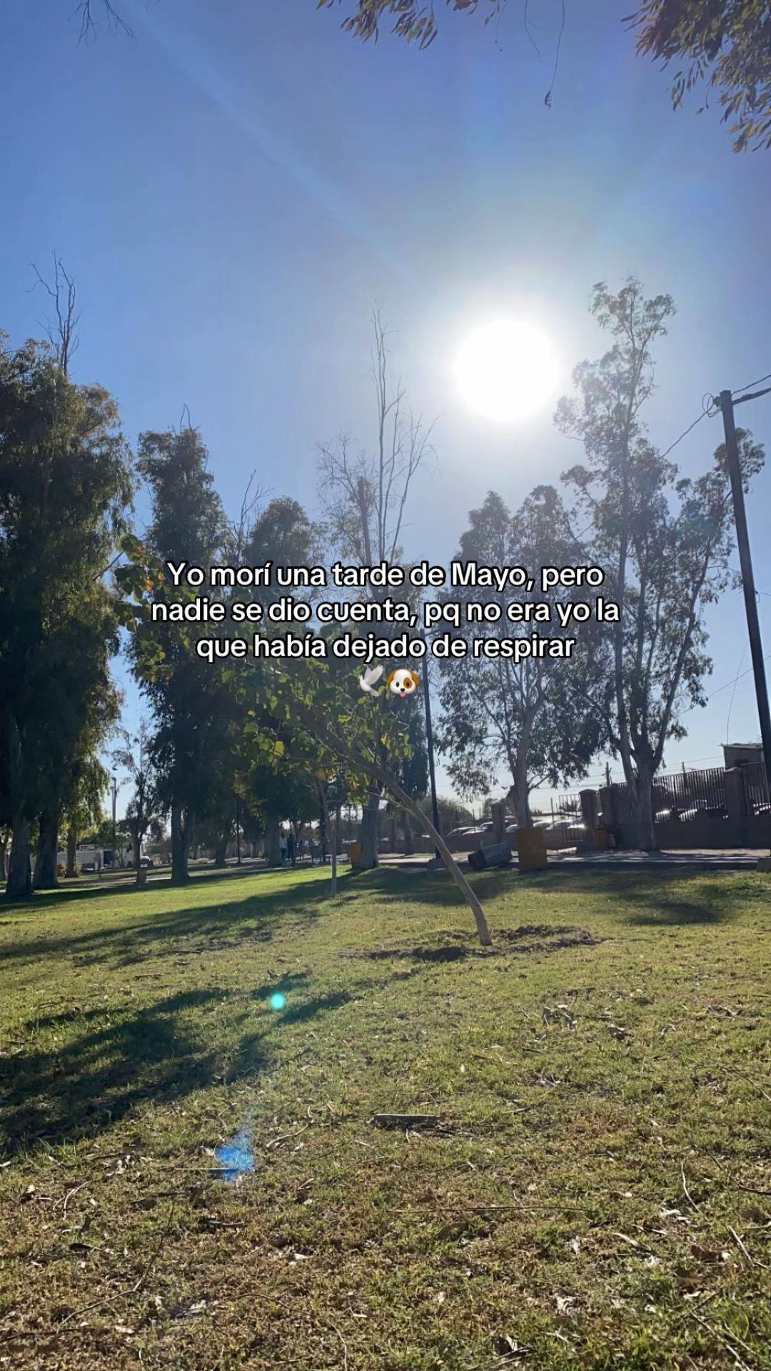 @✨ 𝑨𝑹𝑨𝒀𝑰𝑵𝑨 ✨