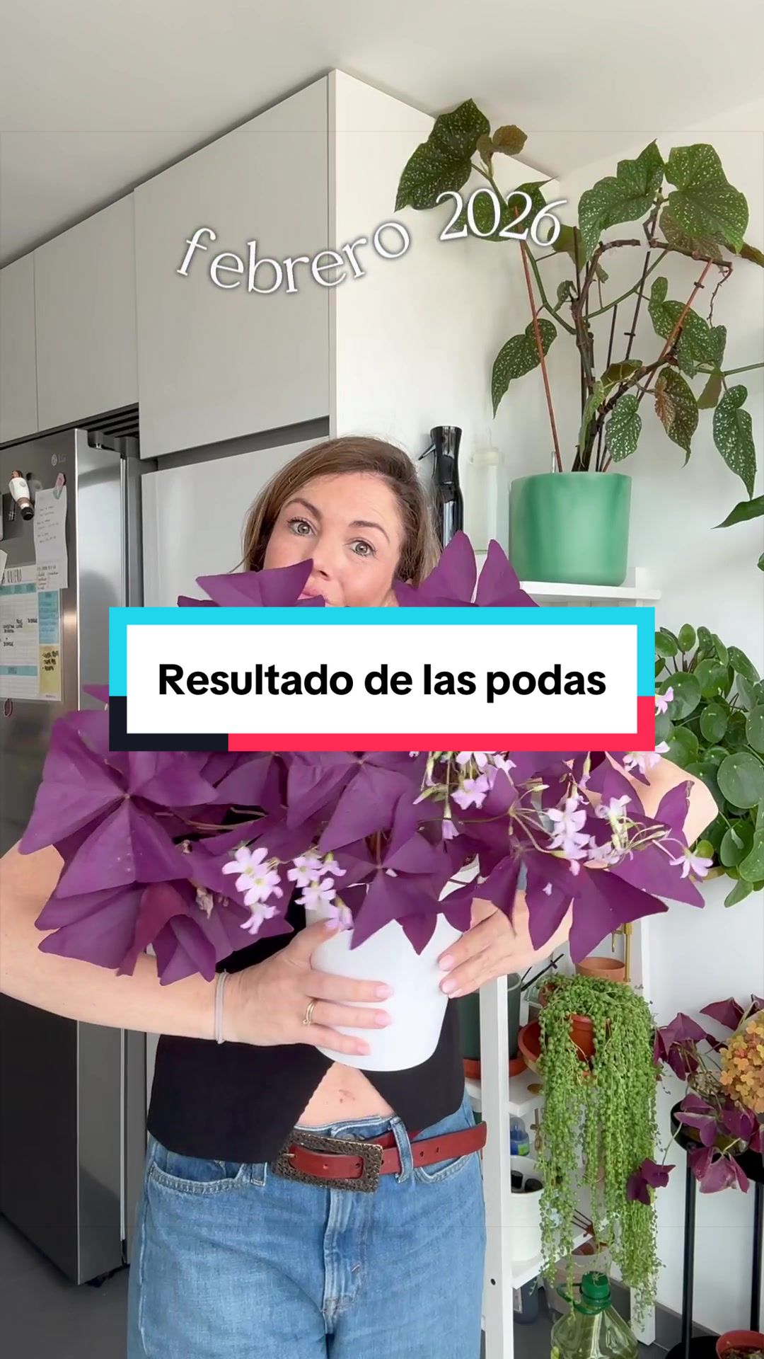 @🌱 En Abril Hojas Mil 🌱