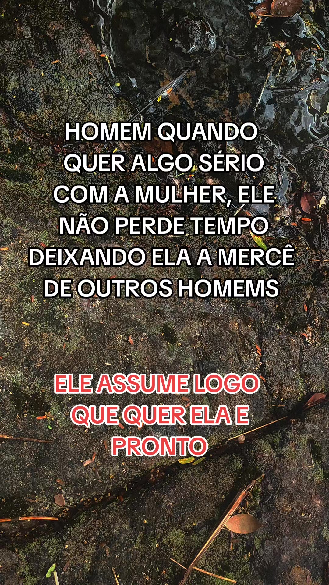 @alexchaggas★