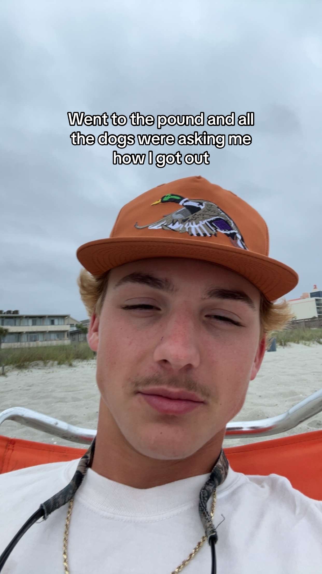 @luke.den©️
