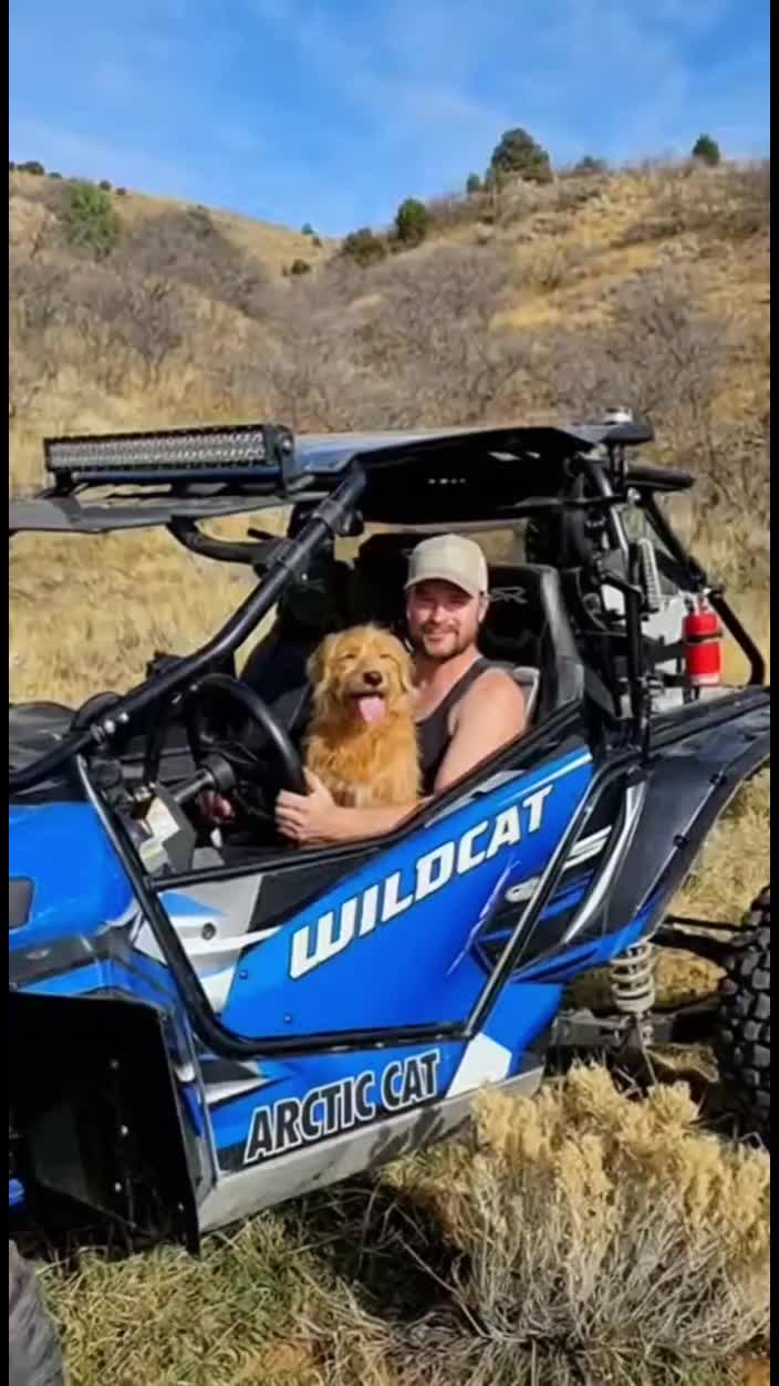 @Wildcatpenn