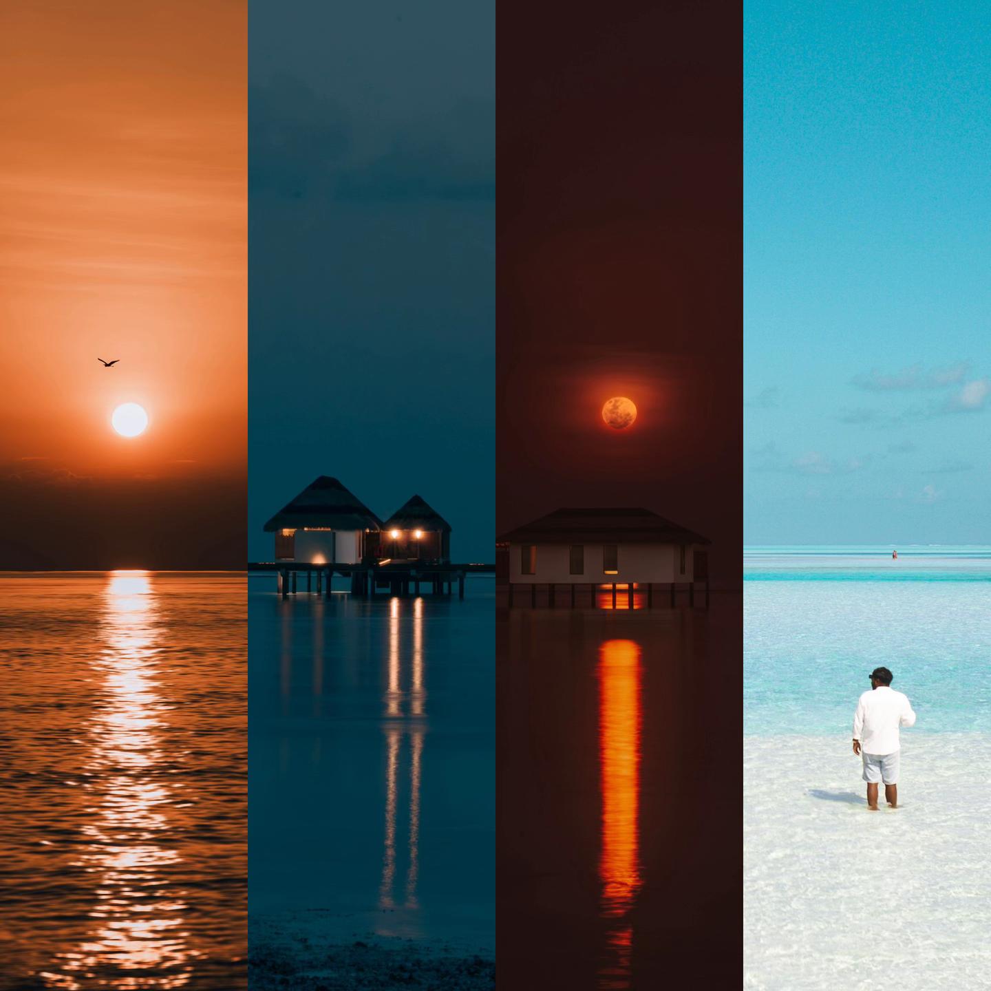 @ᴀᴀᴋᴏ 🪸