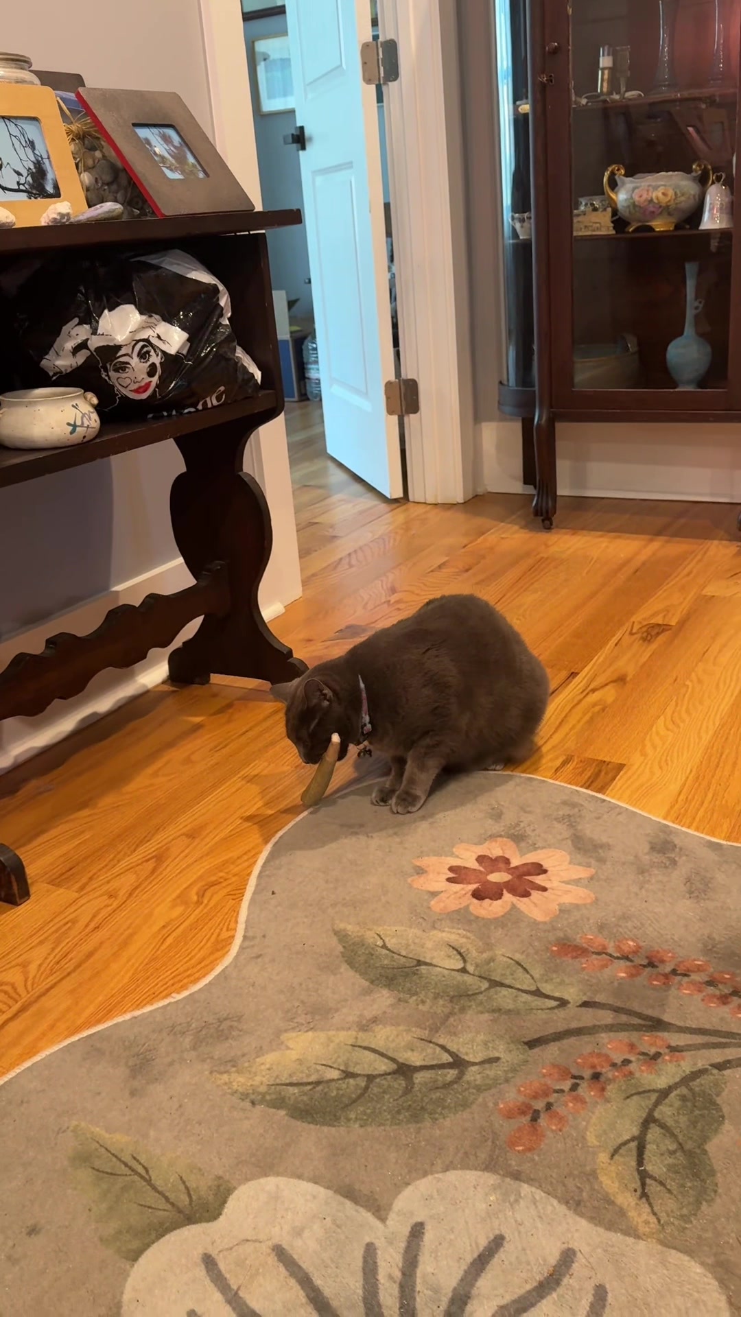 @Chaos and Cats