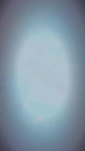 @❥⃟☞ͥ͟🇱🇰Pilojan_Phoenix🫵🇸🇦