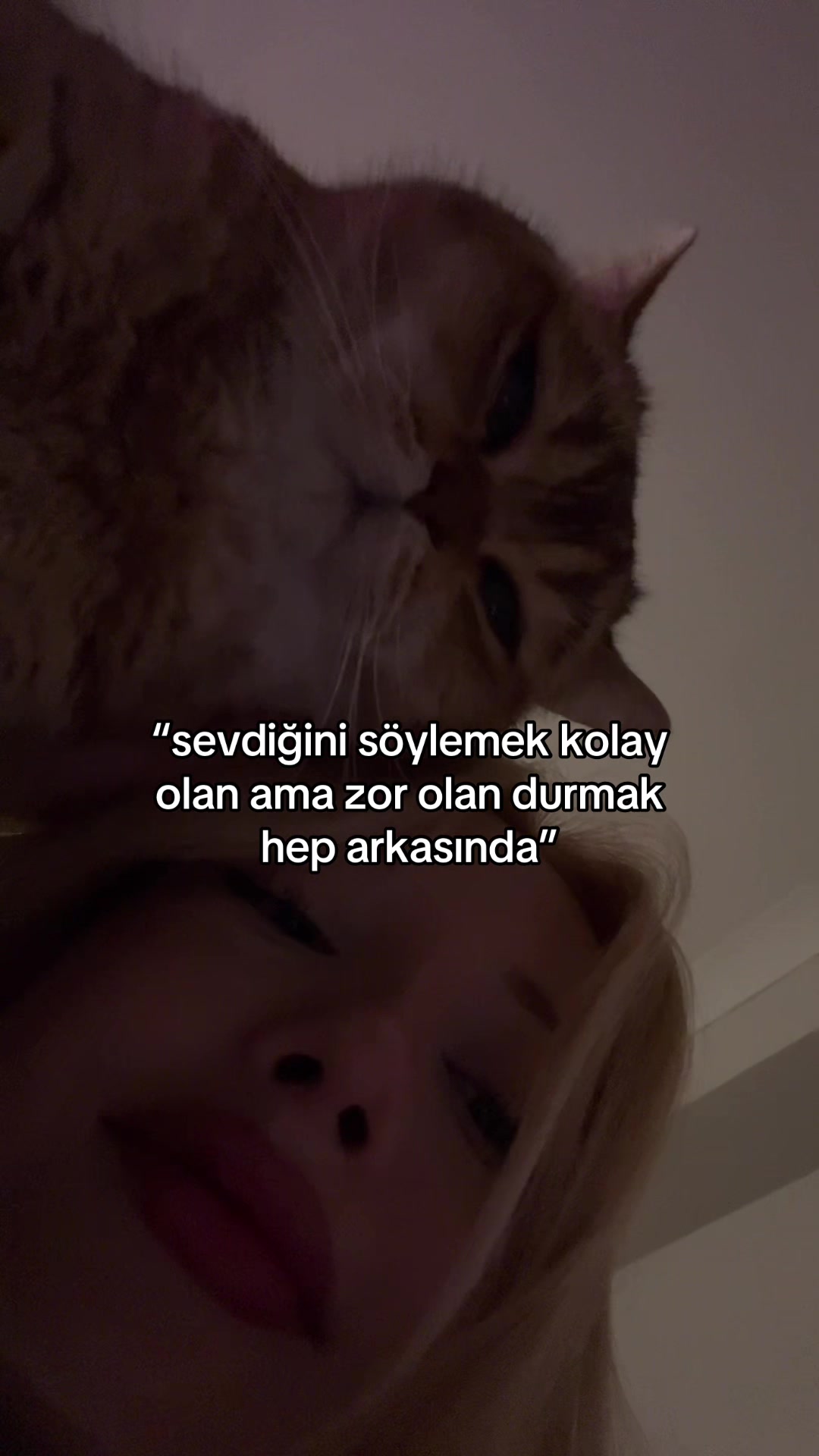 @Sevval