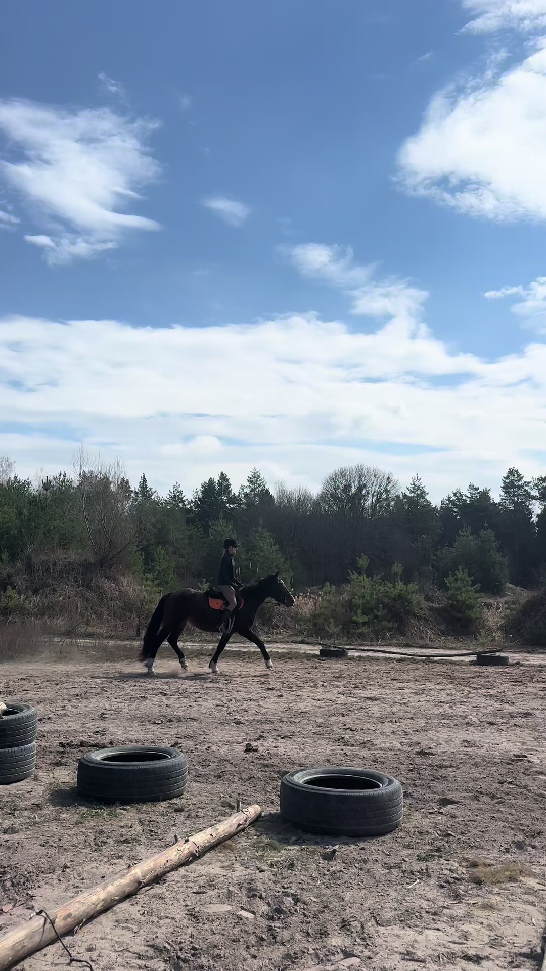 @&ldquo;KK&rdquo;Golden&ensp;Horse