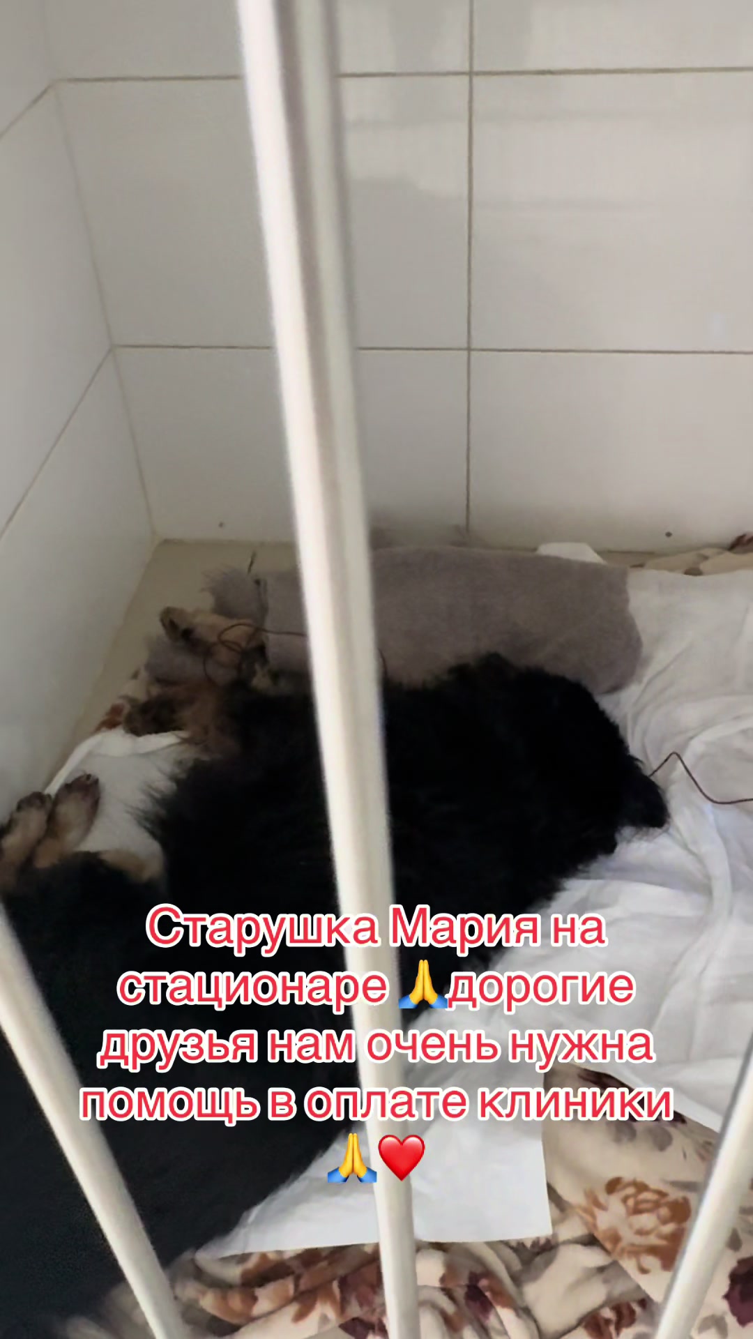 @Лёвка и компания.