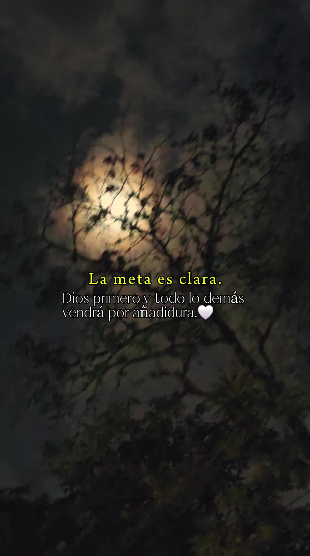 @Davila🕊glendiz🖤