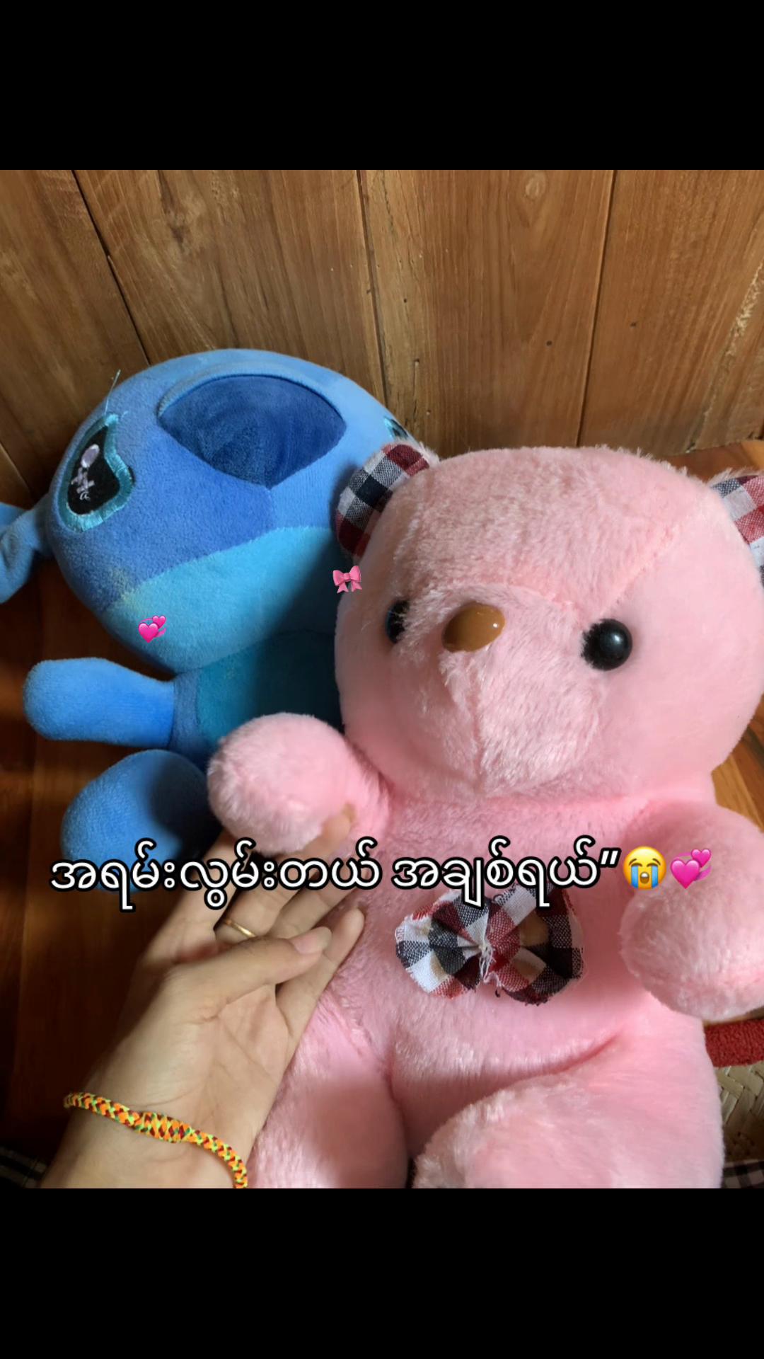 @ZIN”🐬