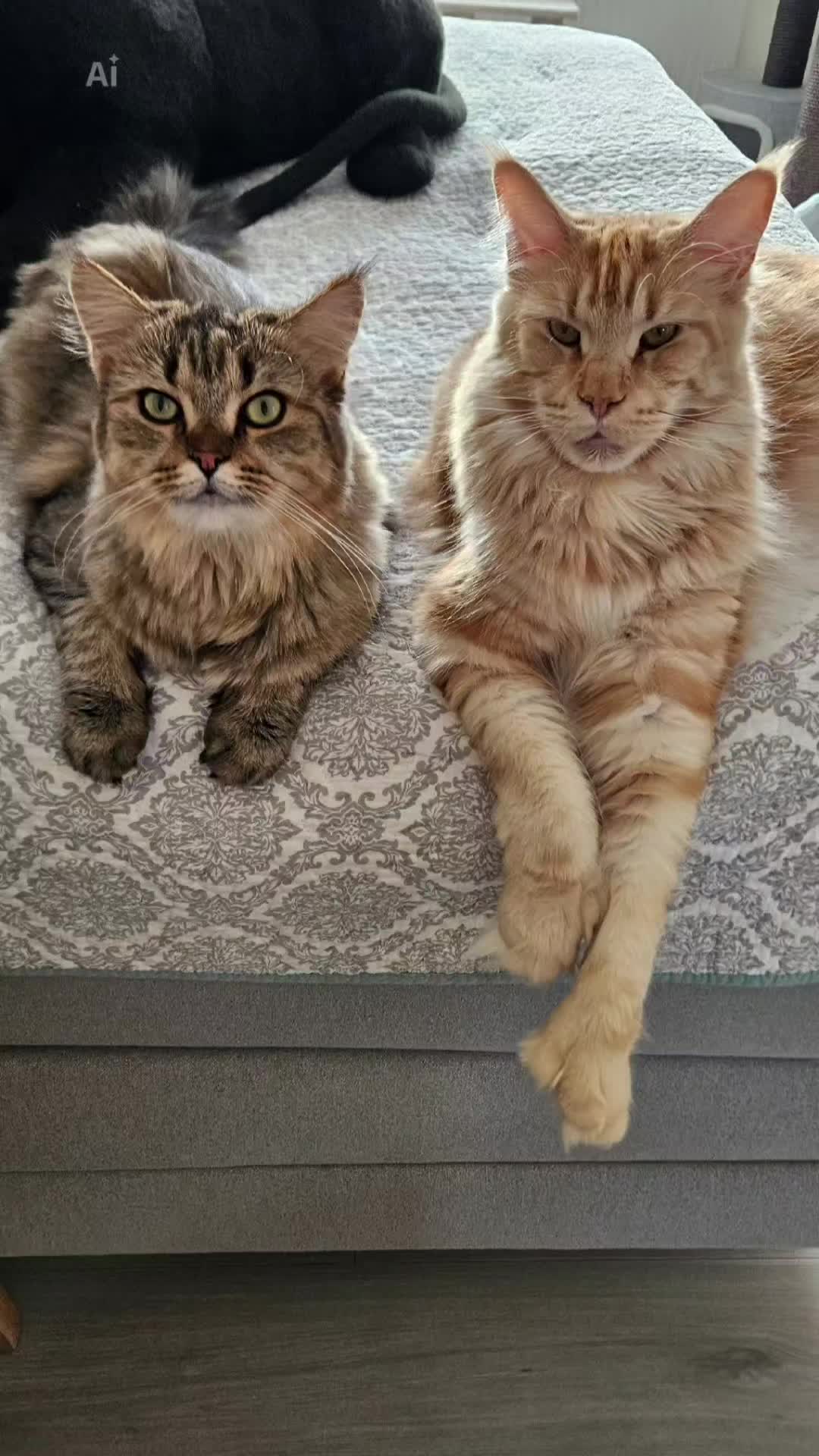 @❤️Janet,Teddy und Bl&uuml;mchen❤️
