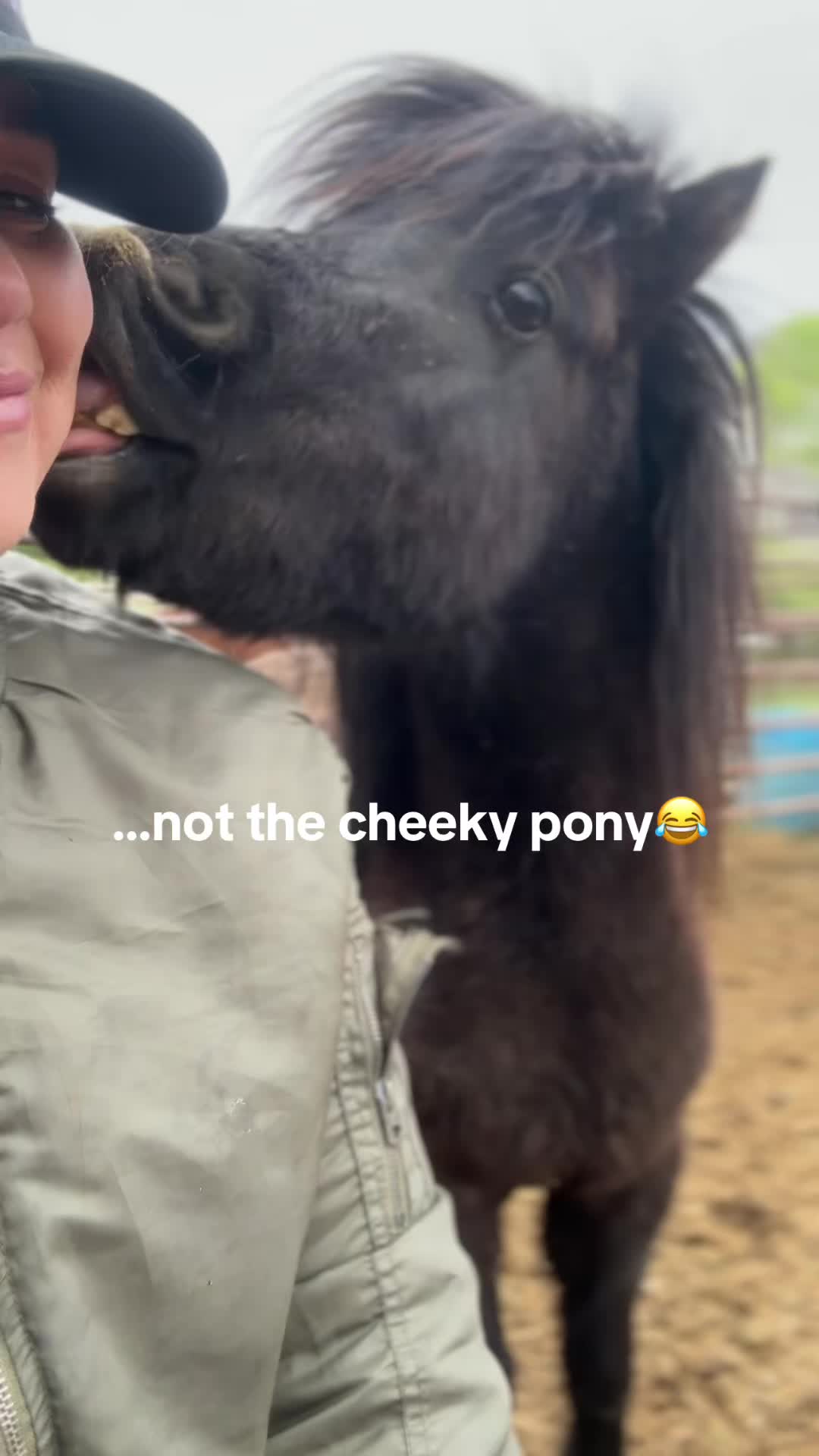 @wild.horsewoman