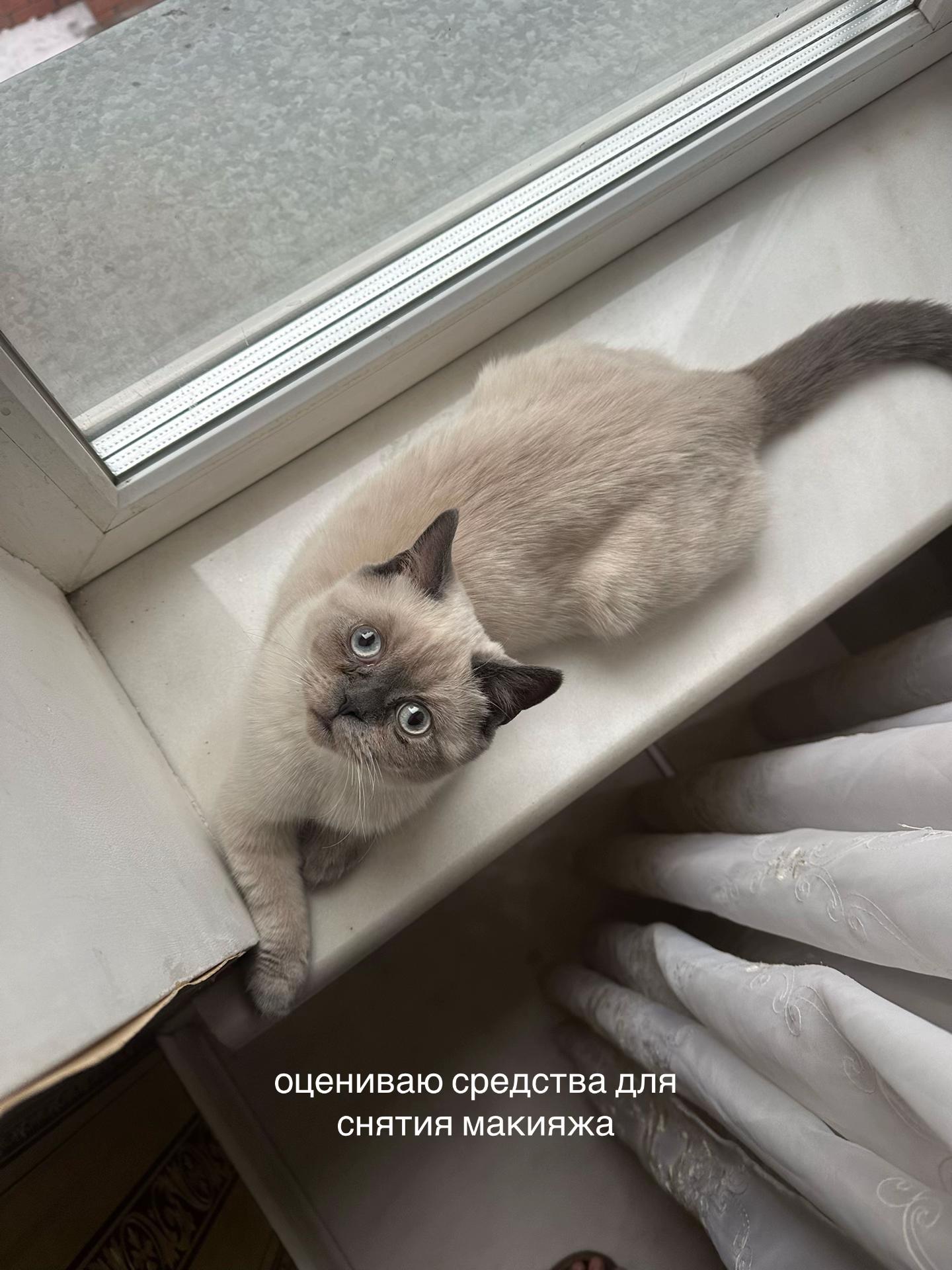 @виктория