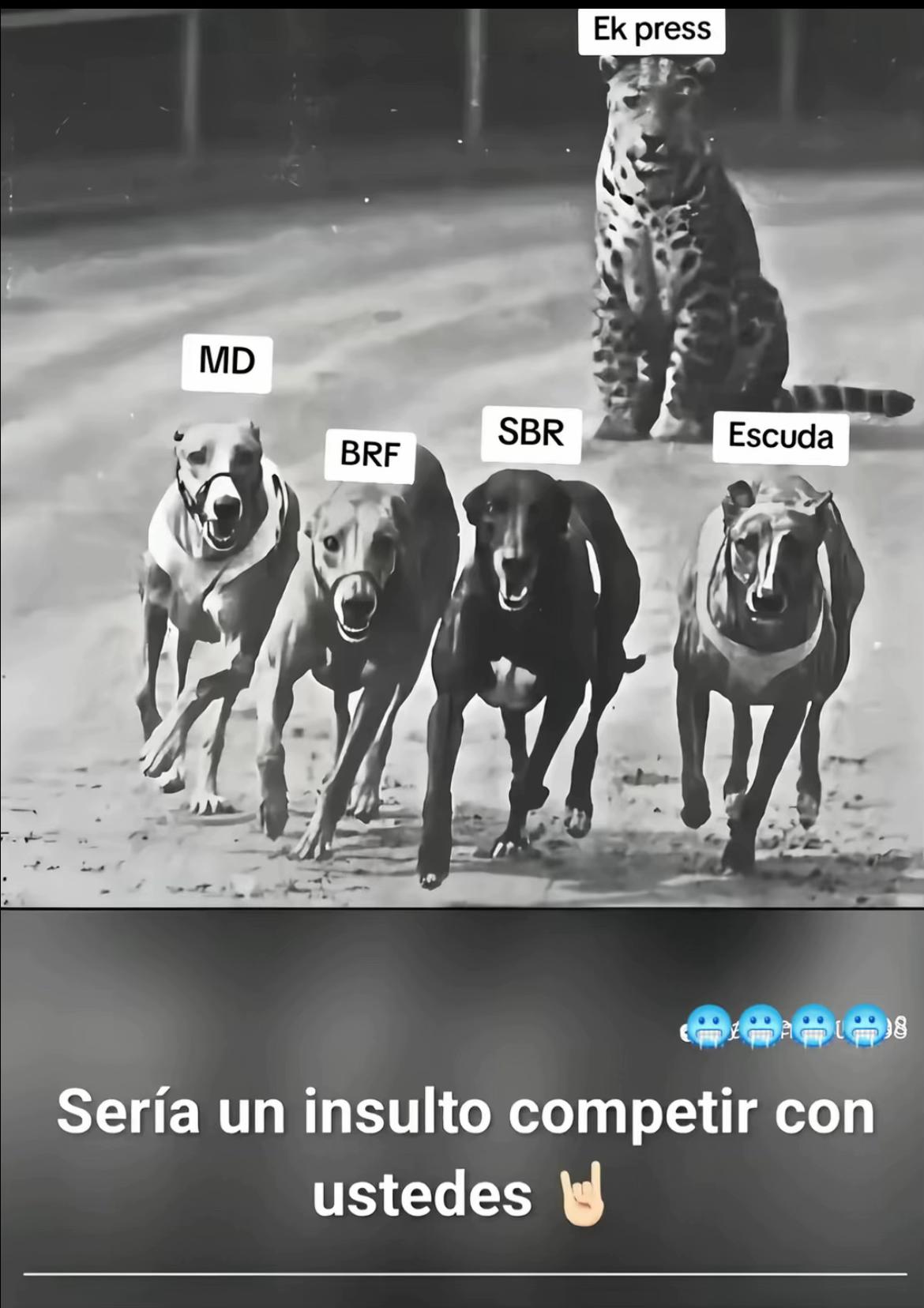 @Garc&iacute;a.🤠💎