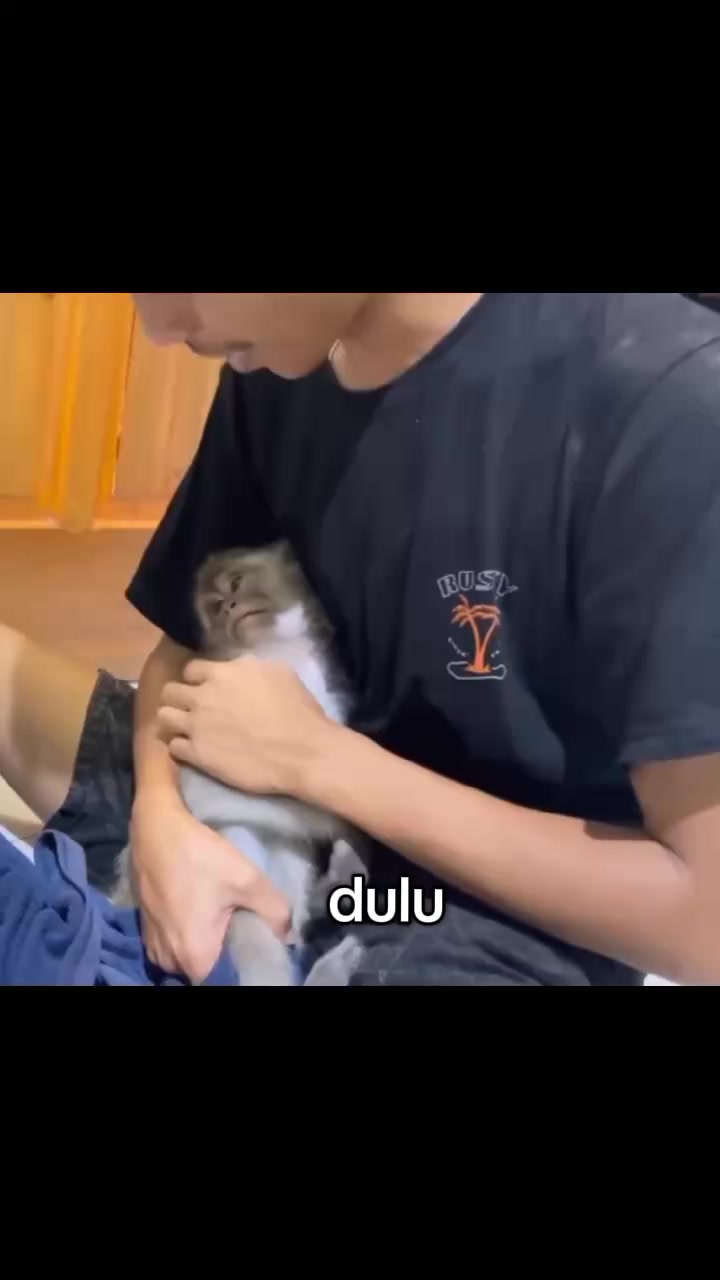 @sucakamu