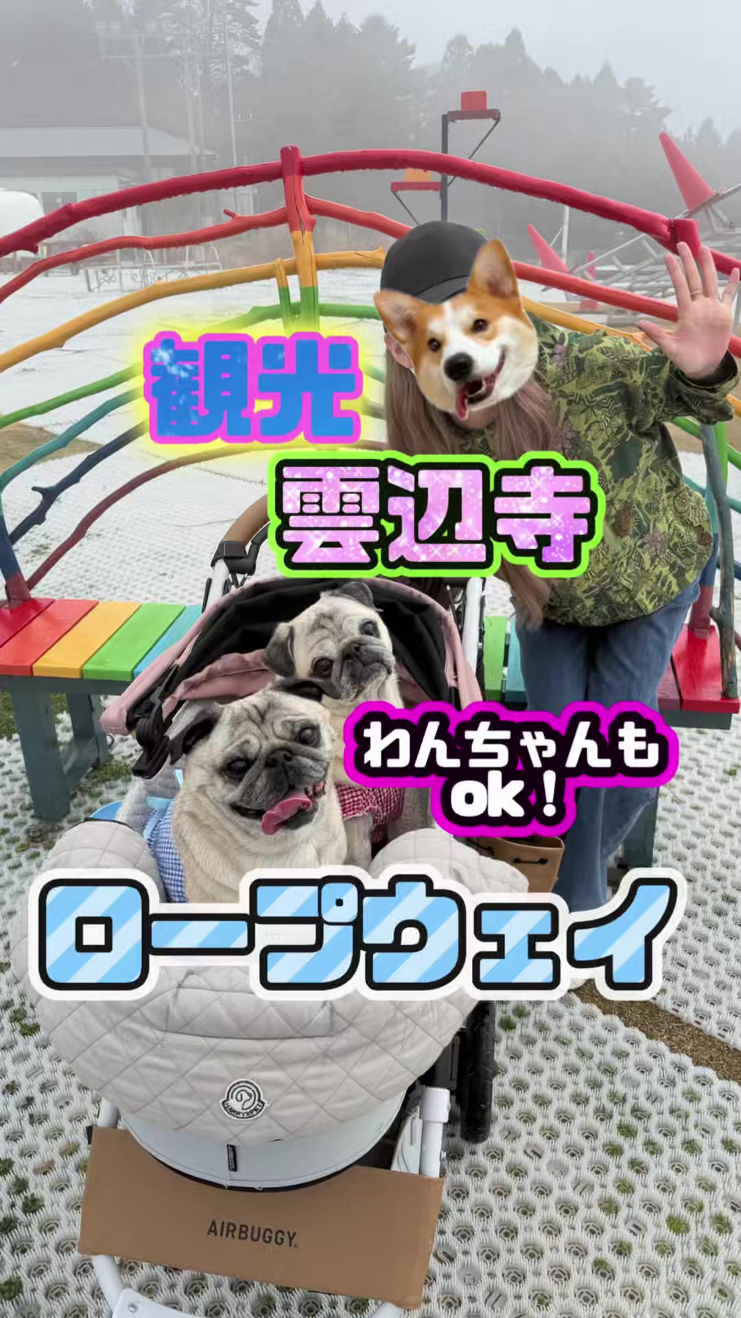 @ペコピノ🐶さっちゃん