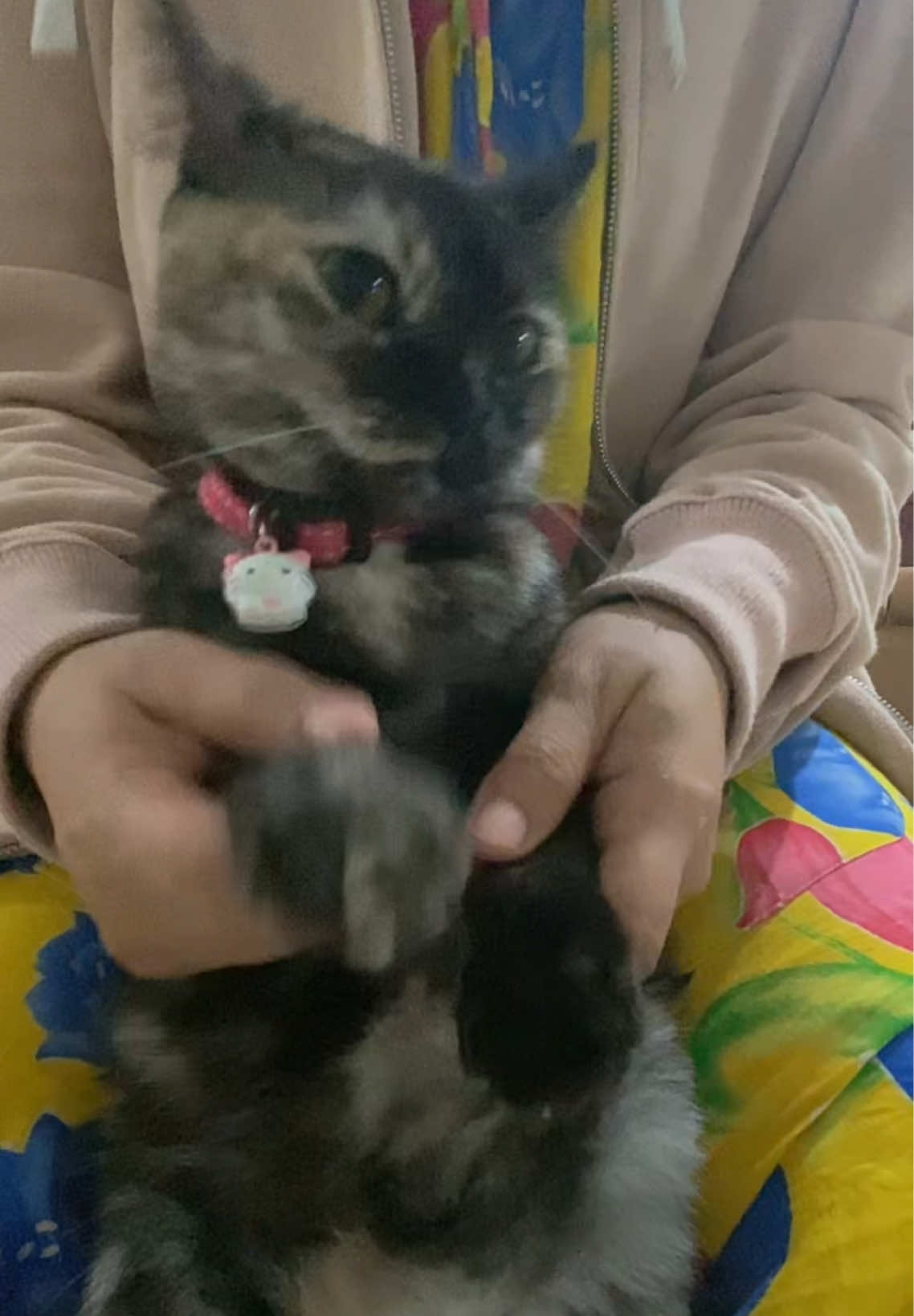 @annisawar